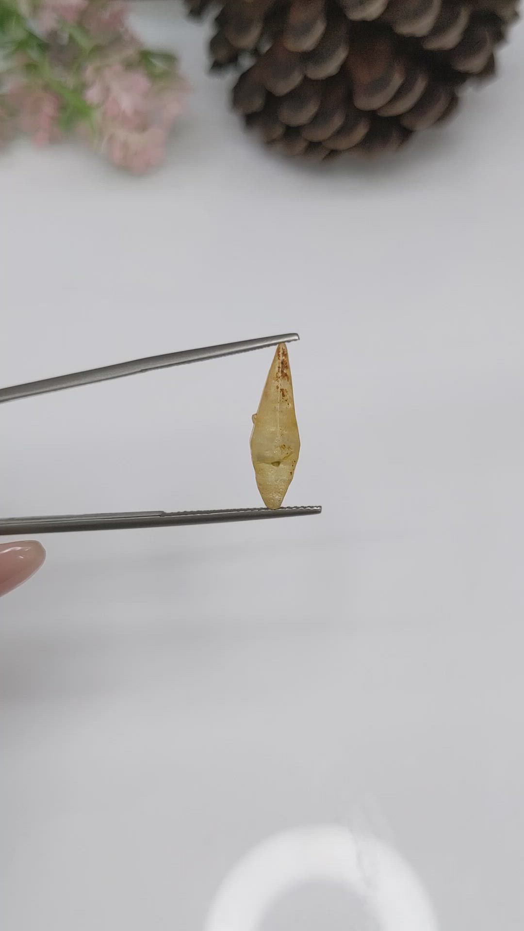 6.06 Ct. Yellow Sapphire Crystal from Ceylon (Sri Lanka) Size Video