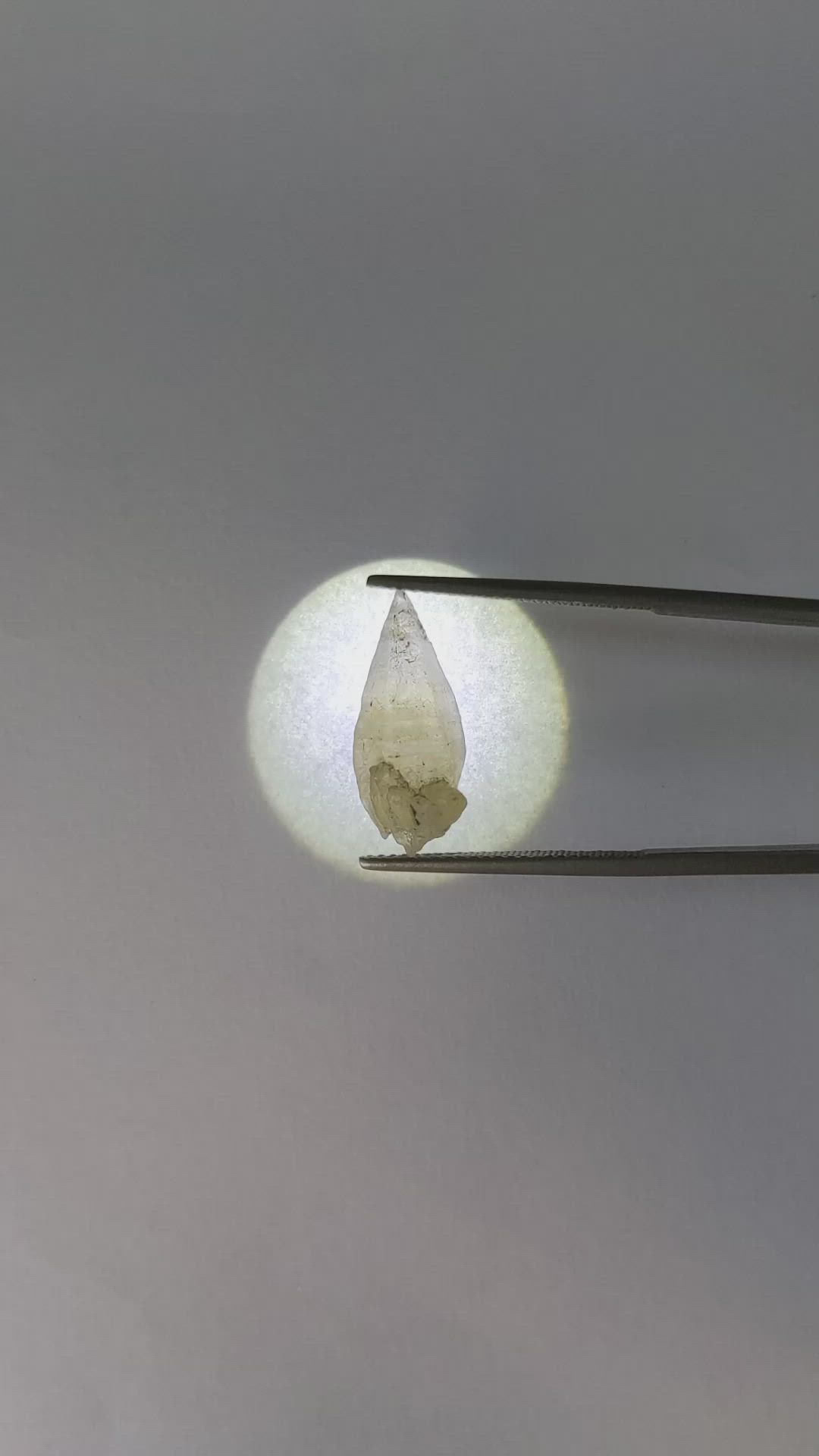 7.76 Ct. Yellow Sapphire Crystal from Ceylon (Sri Lanka) Size Video