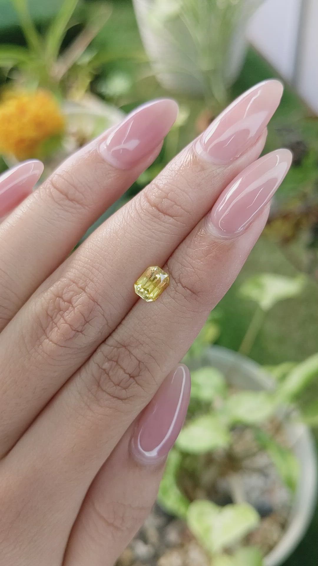 1.26 Ct. Yellow Sapphire from Ceylon (Sri Lanka) Size Video