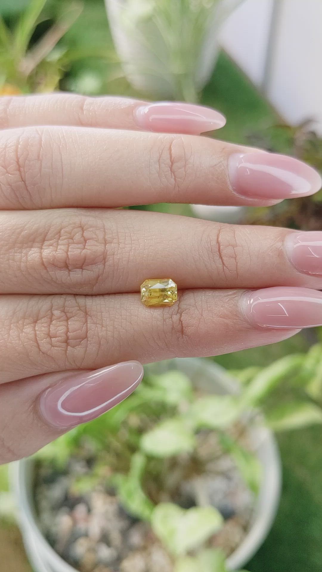 1.26 Ct. Yellow Sapphire from Ceylon (Sri Lanka) Size Video