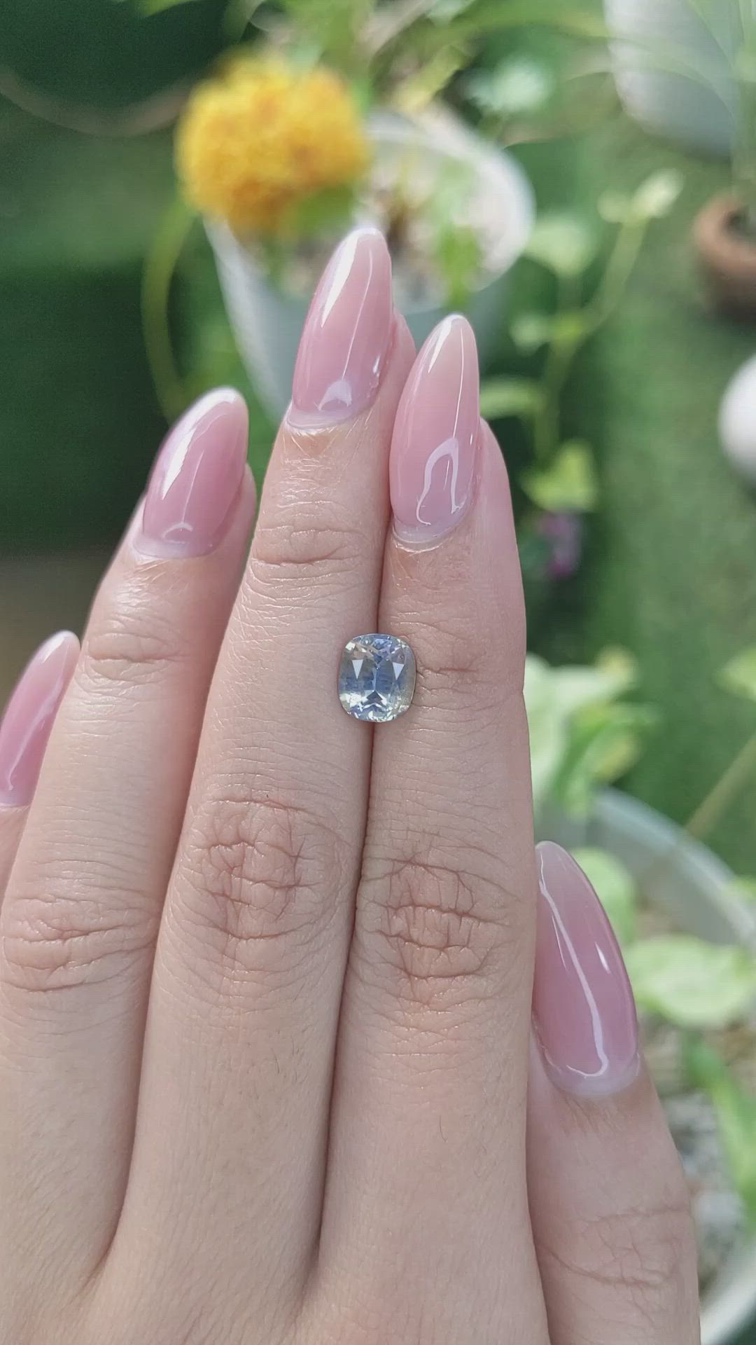 1.83 Ct. Bi Color Sapphire from Ceylon (Sri Lanka) Size Video