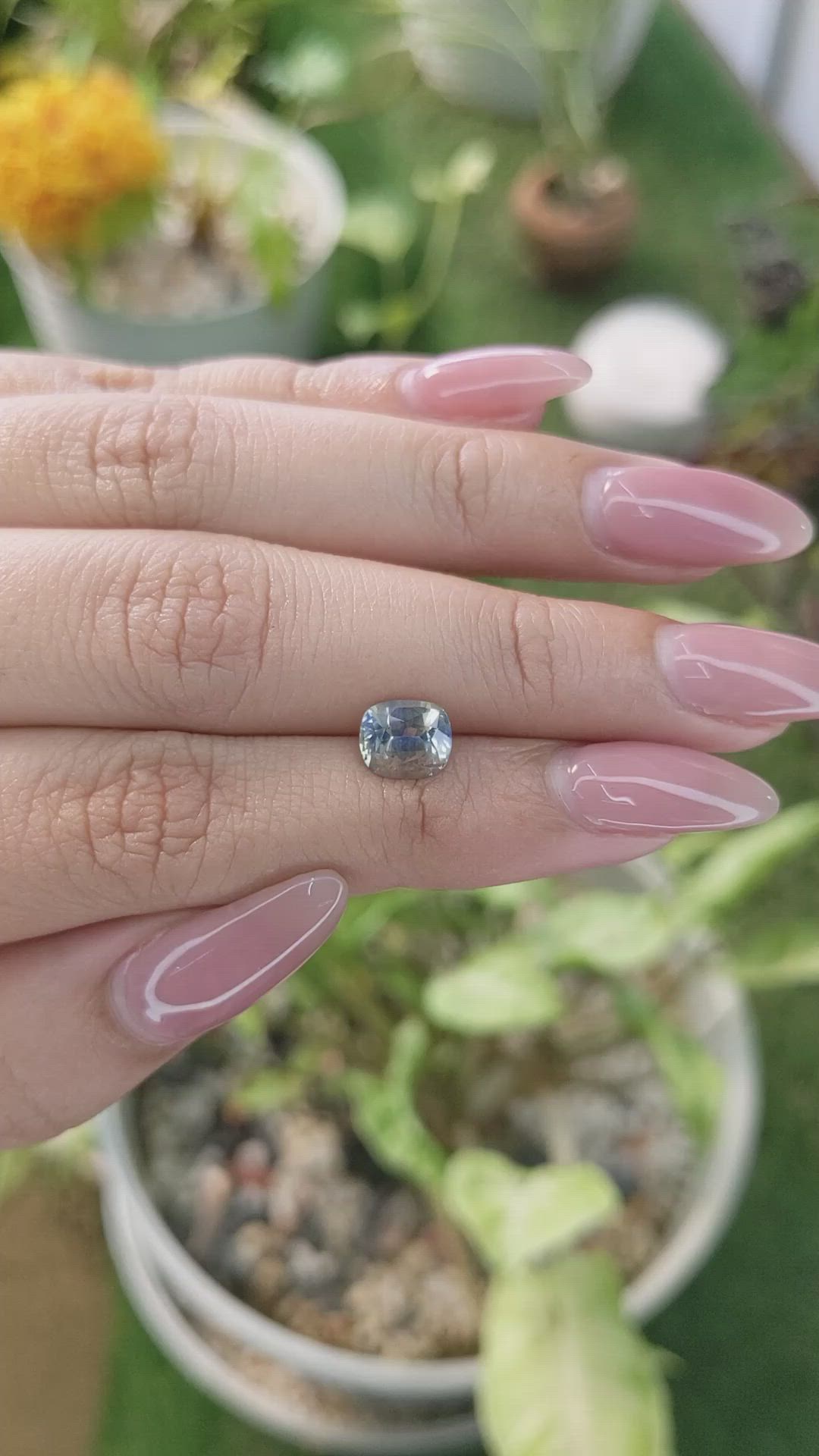 1.83 Ct. Bi Color Sapphire from Ceylon (Sri Lanka) Size Video