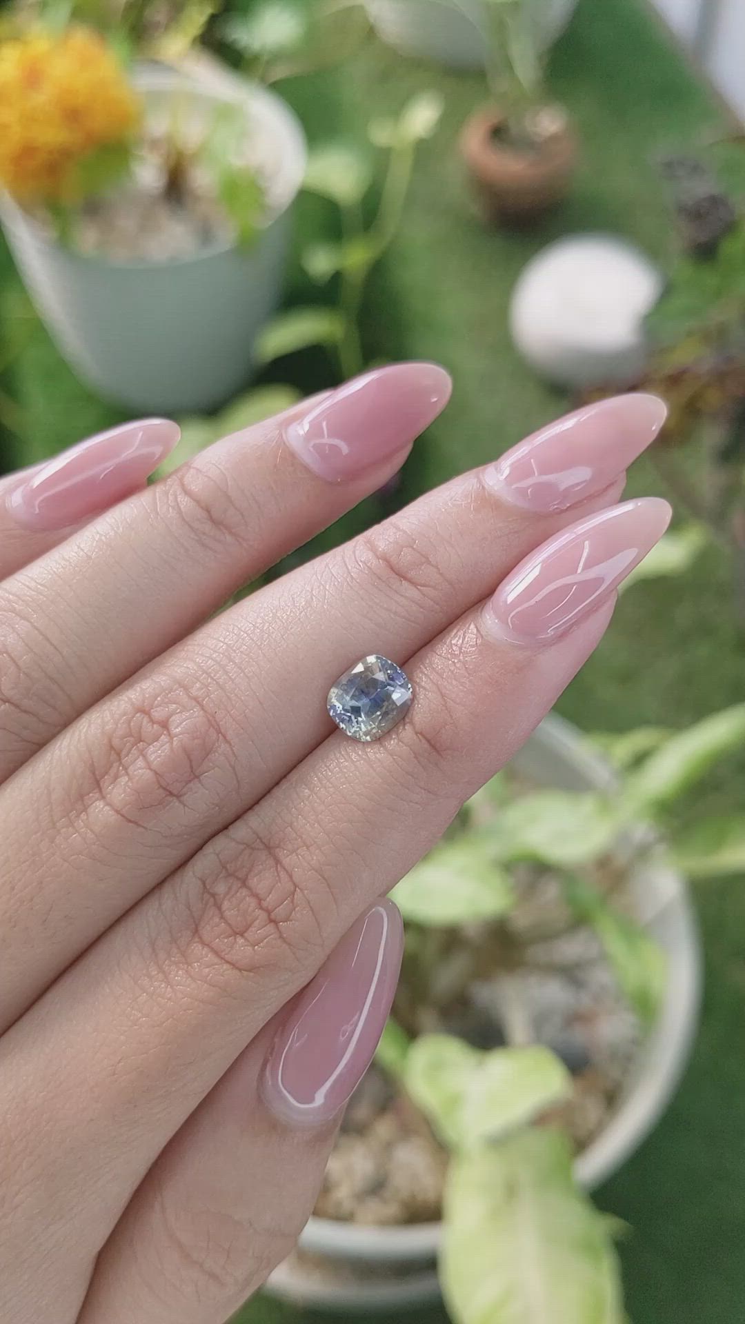 1.83 Ct. Bi Color Sapphire from Ceylon (Sri Lanka) Size Video