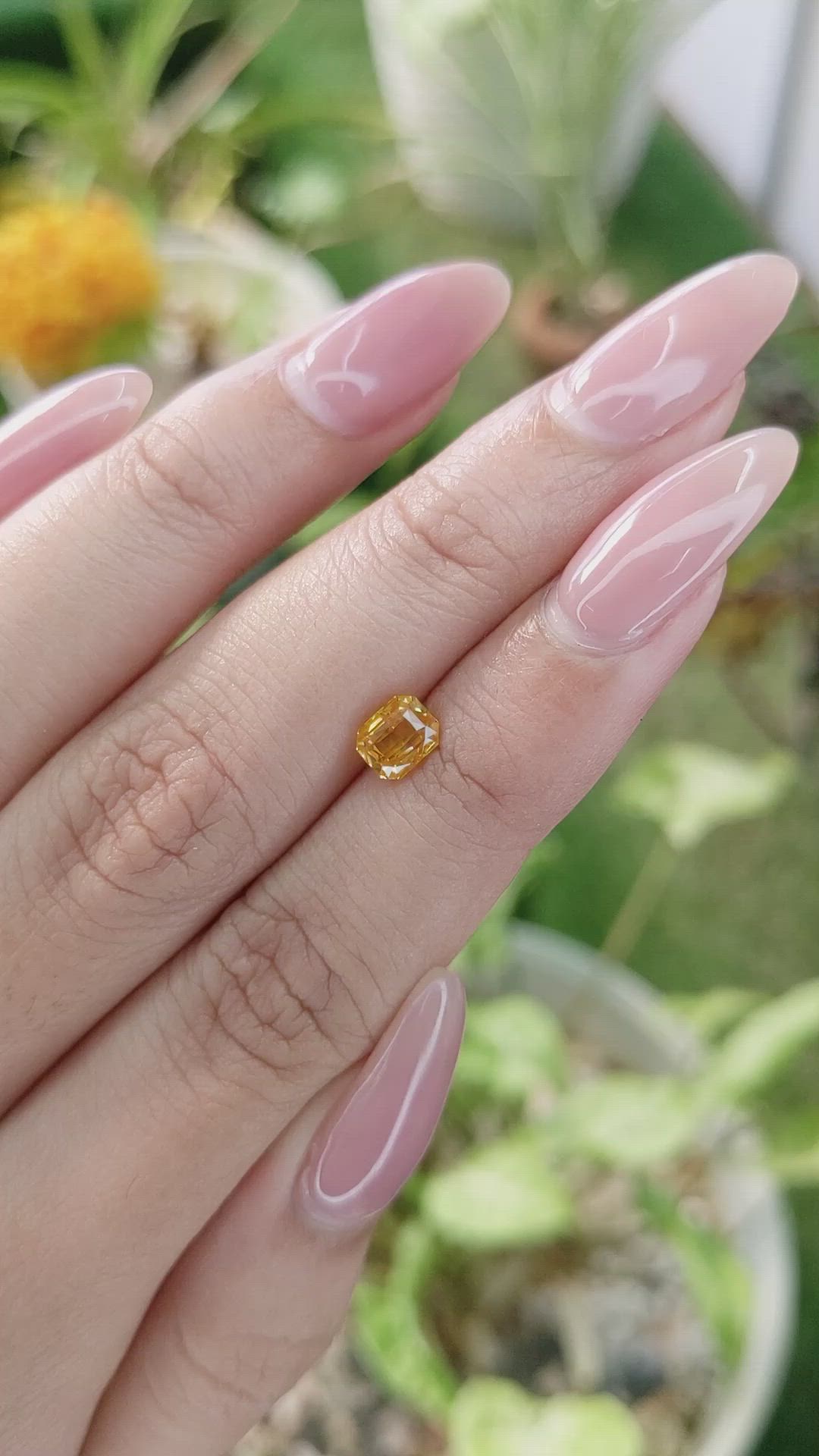 1.05 Ct. Yellowish Orange Sapphire from Ceylon (Sri Lanka) Size Video