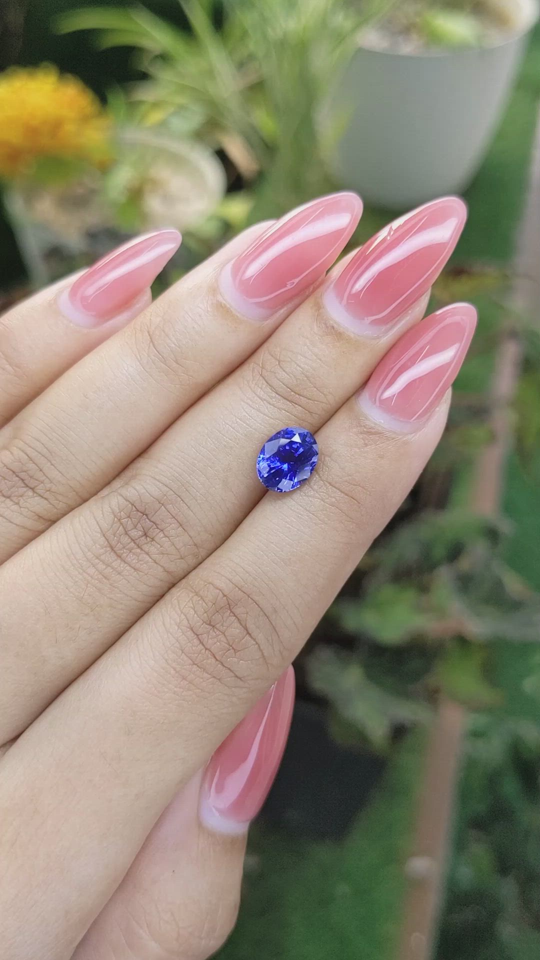 2.44 Ct. Blue Sapphire from Ceylon (Sri Lanka) Size Video