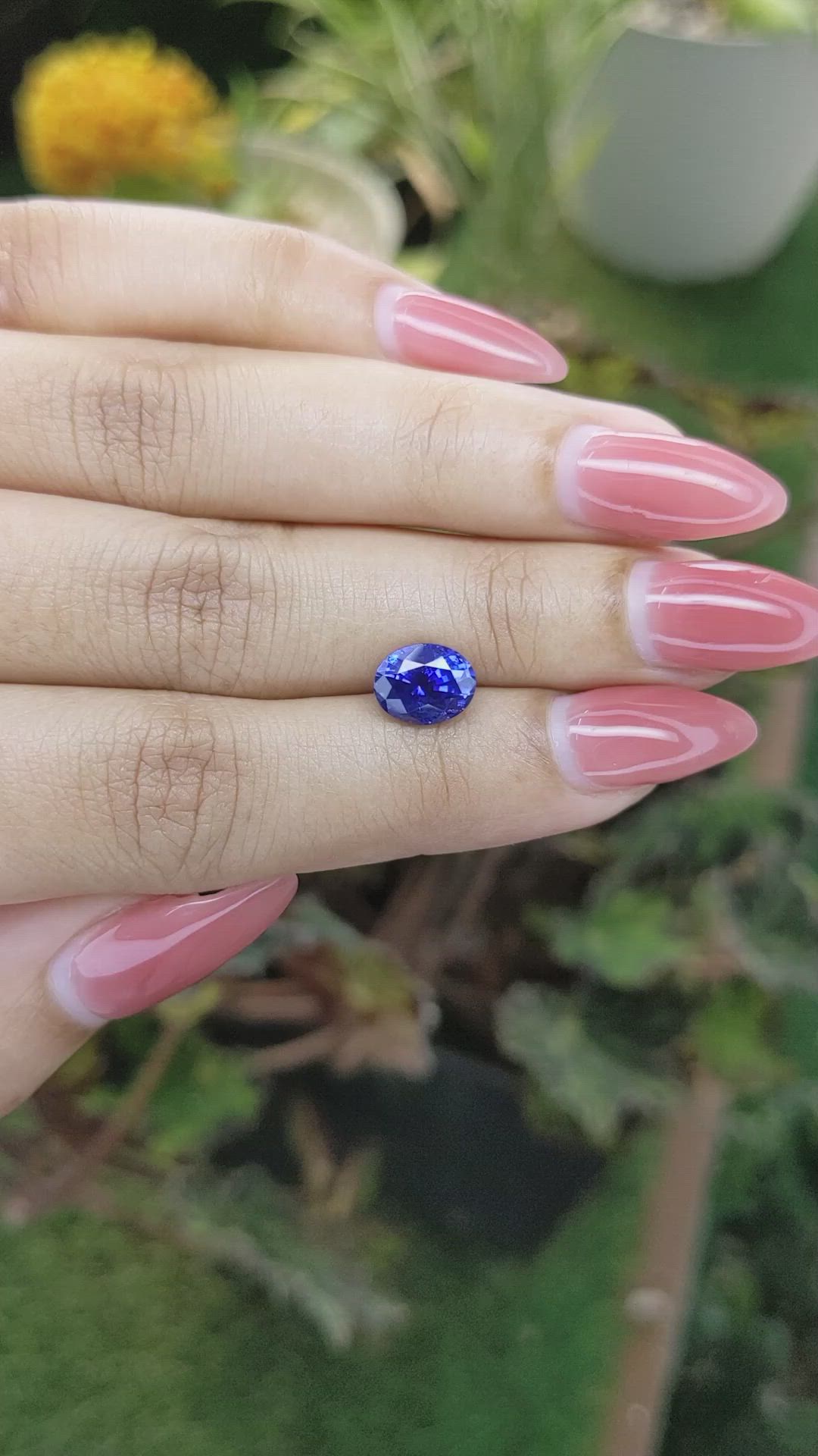 2.44 Ct. Blue Sapphire from Ceylon (Sri Lanka) Size Video