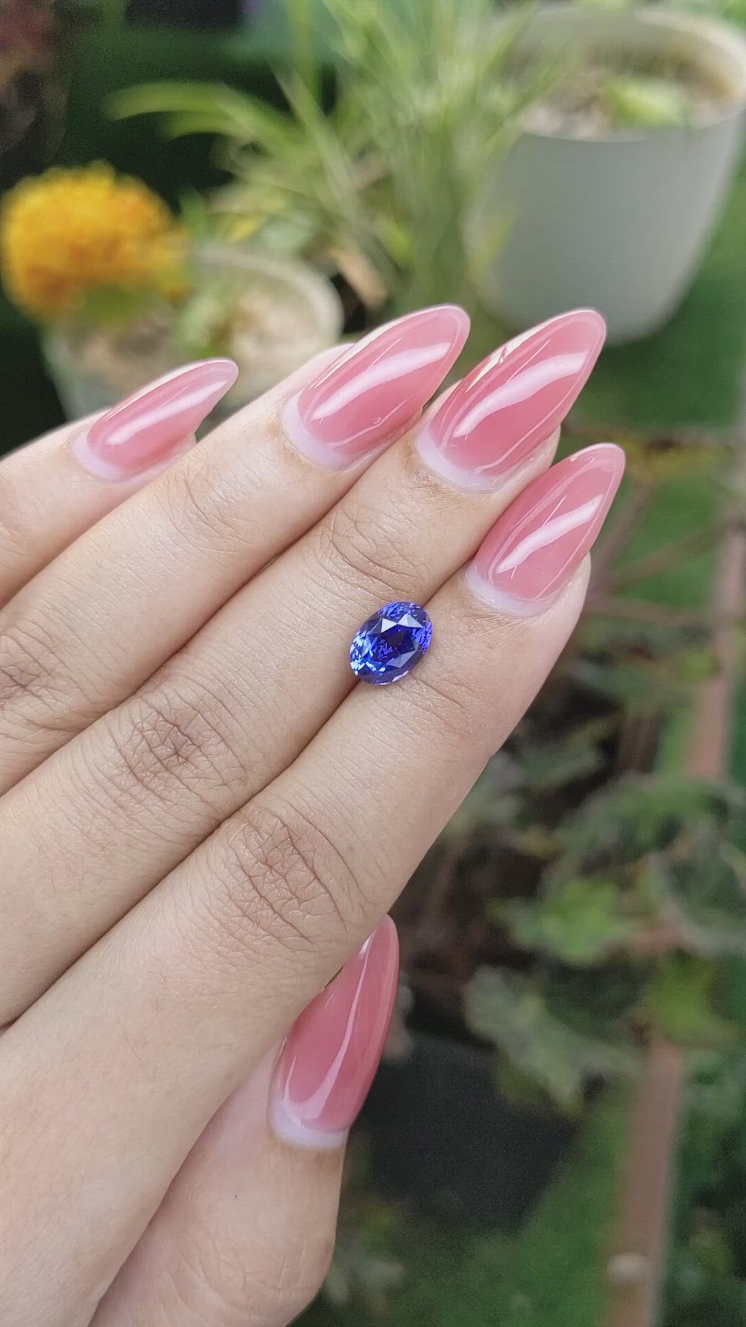 2.31 Ct. Blue Sapphire from Ceylon (Sri Lanka) Size Video