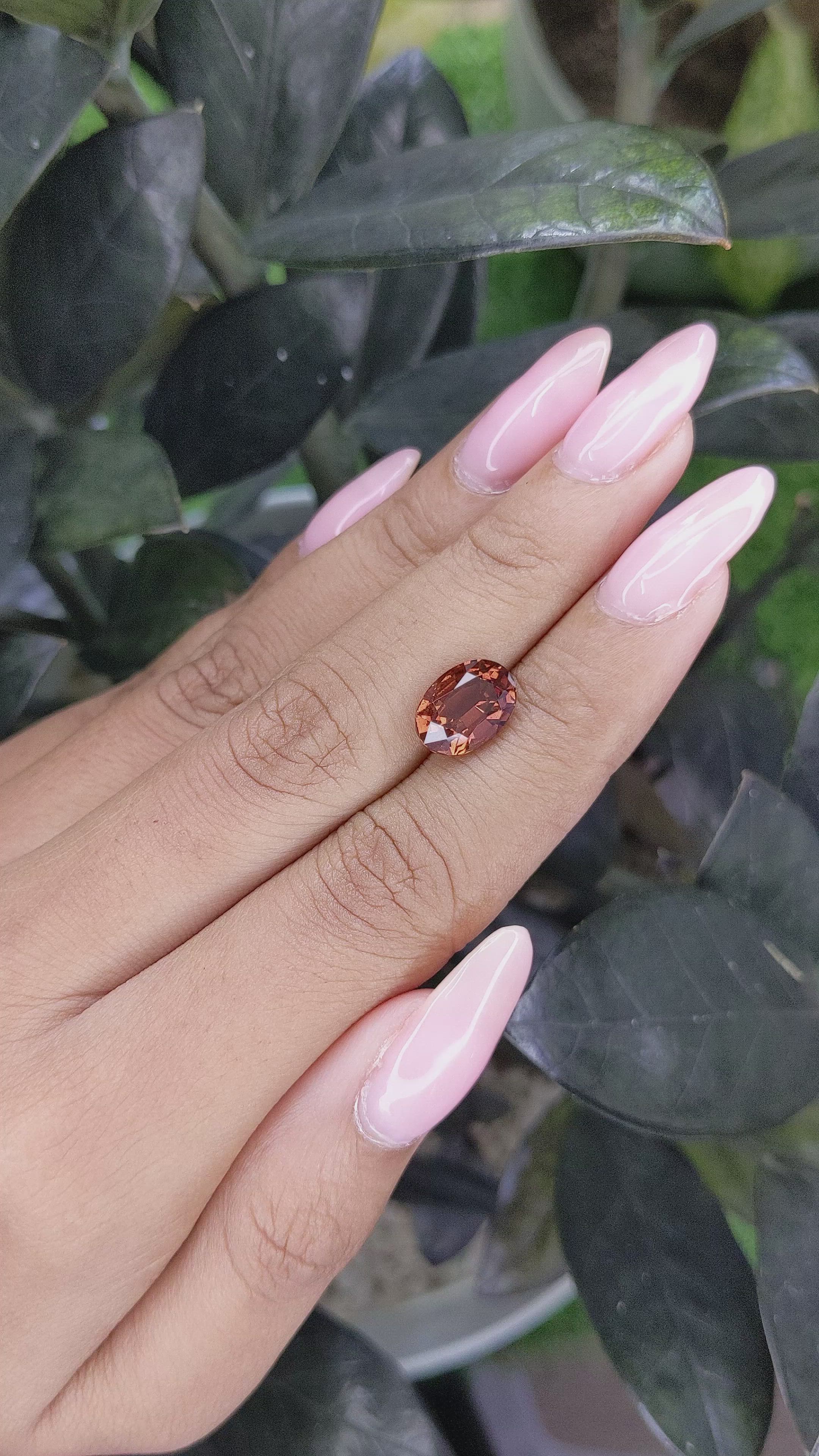 3.59 Ct. Brown Sapphire from Madagascar Size Video