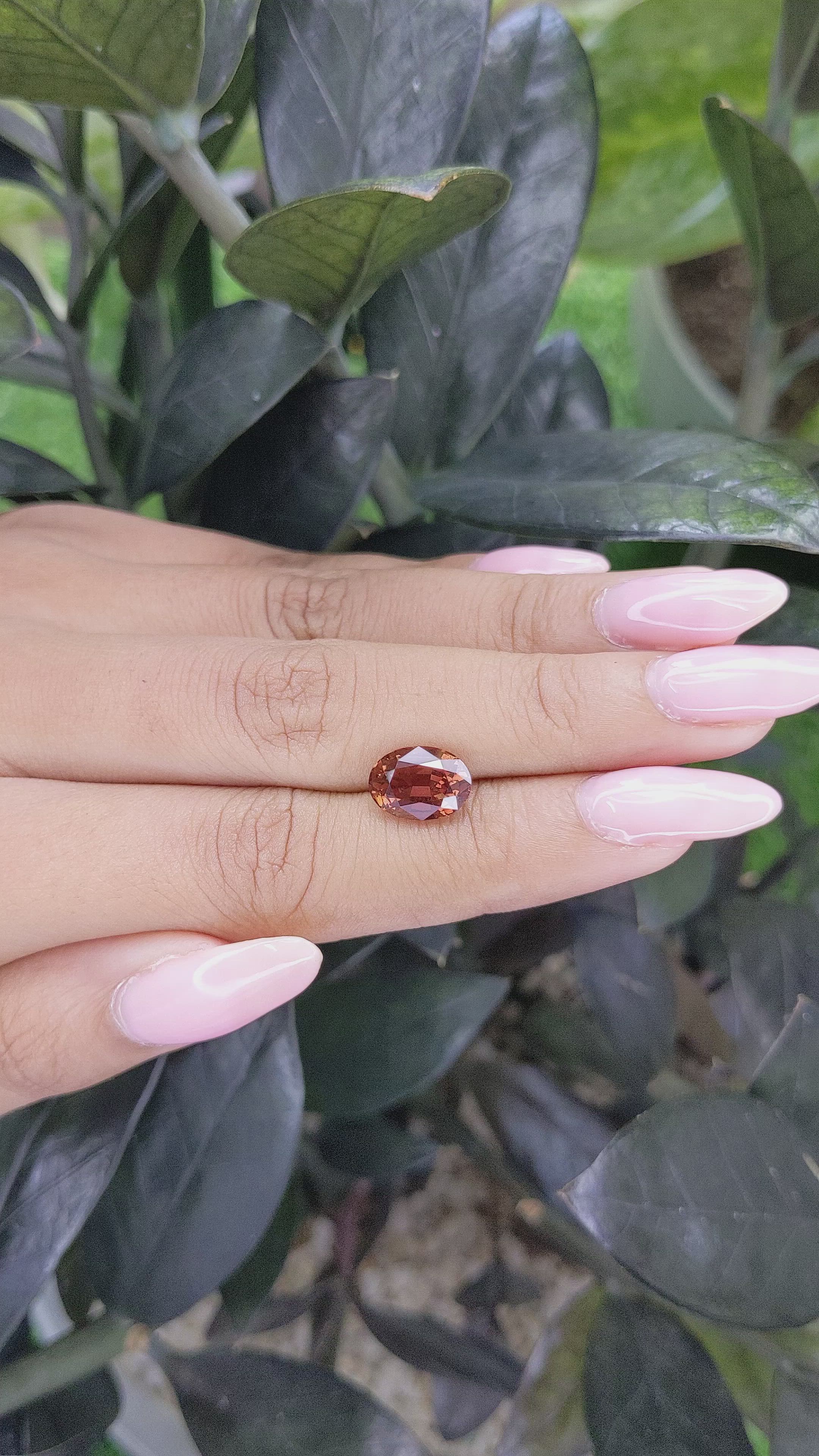 3.59 Ct. Brown Sapphire from Madagascar Size Video