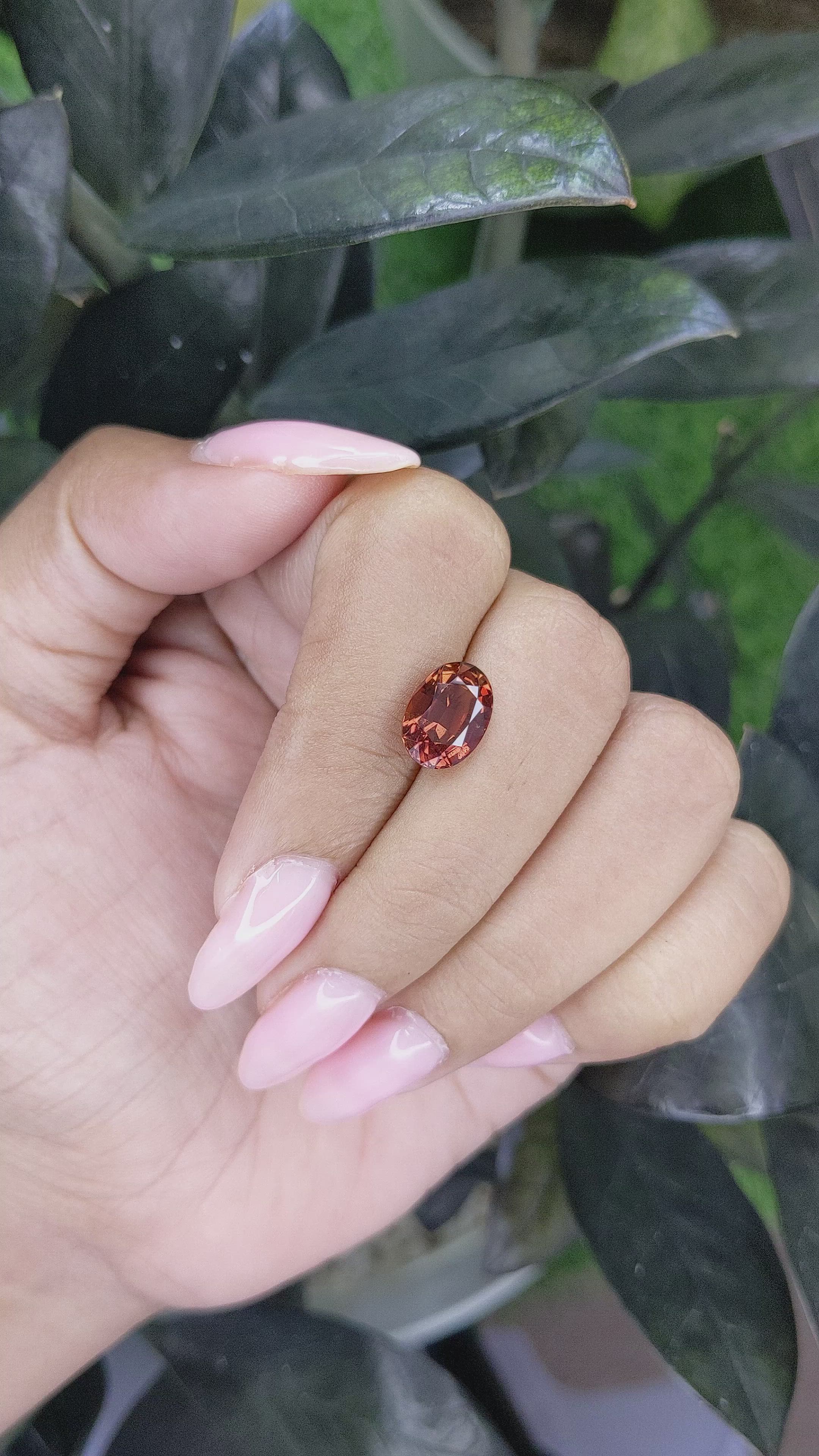 3.59 Ct. Brown Sapphire from Madagascar Size Video