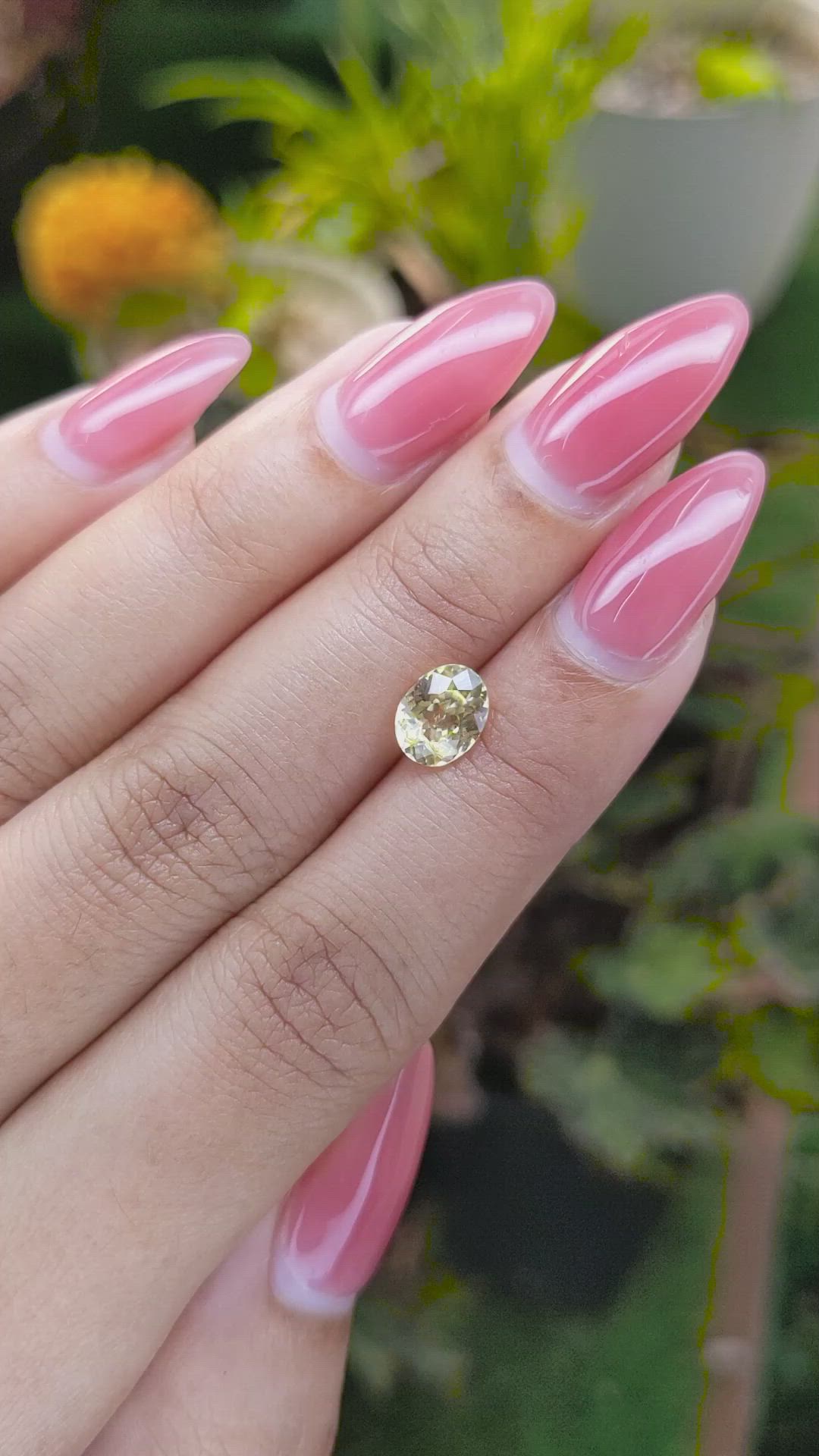 1.52 Ct. Yellow Sapphire from Ceylon (Sri Lanka) Size Video