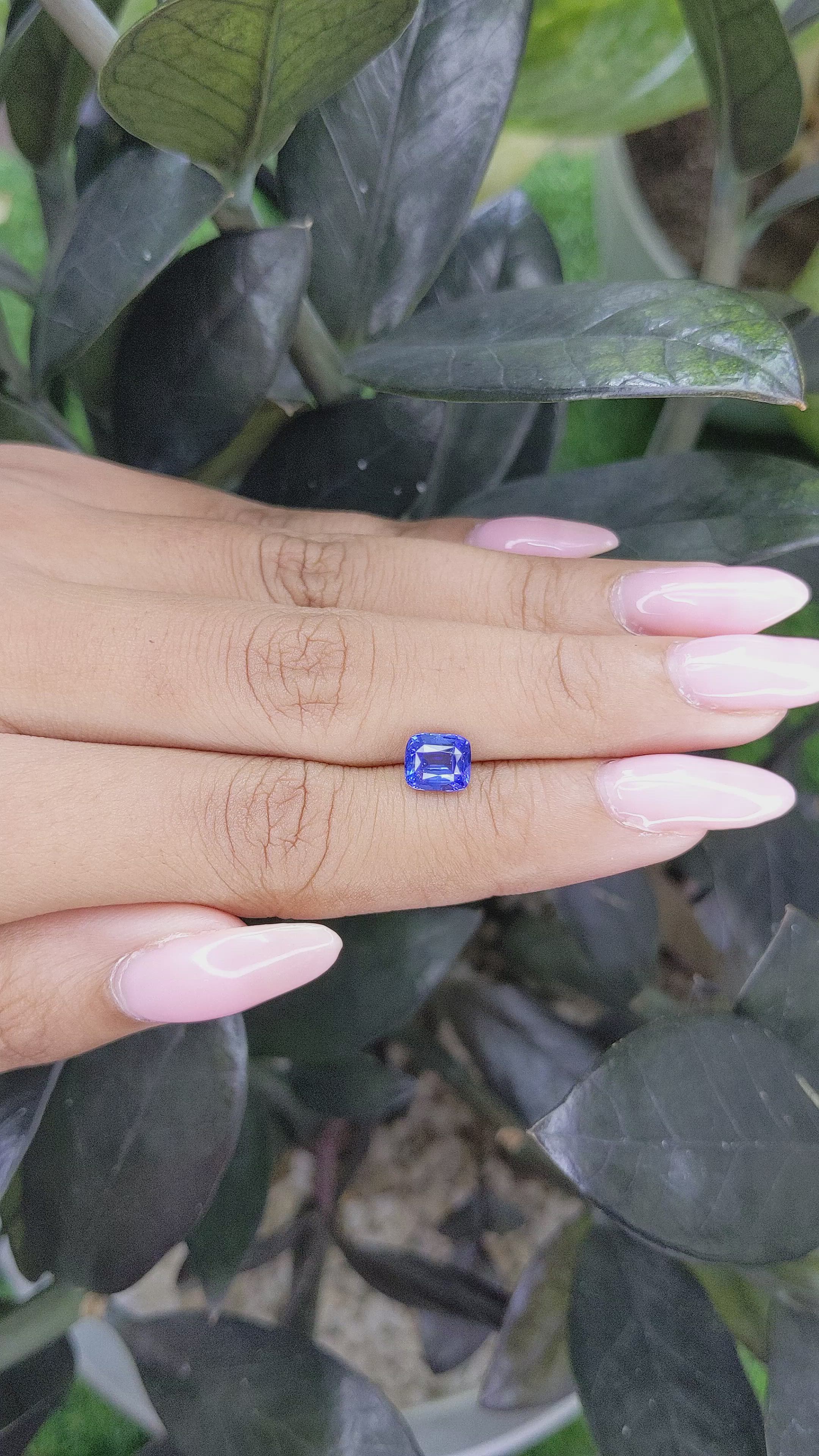 1.62 Ct. Blue Sapphire from Ceylon (Sri Lanka) Size Video