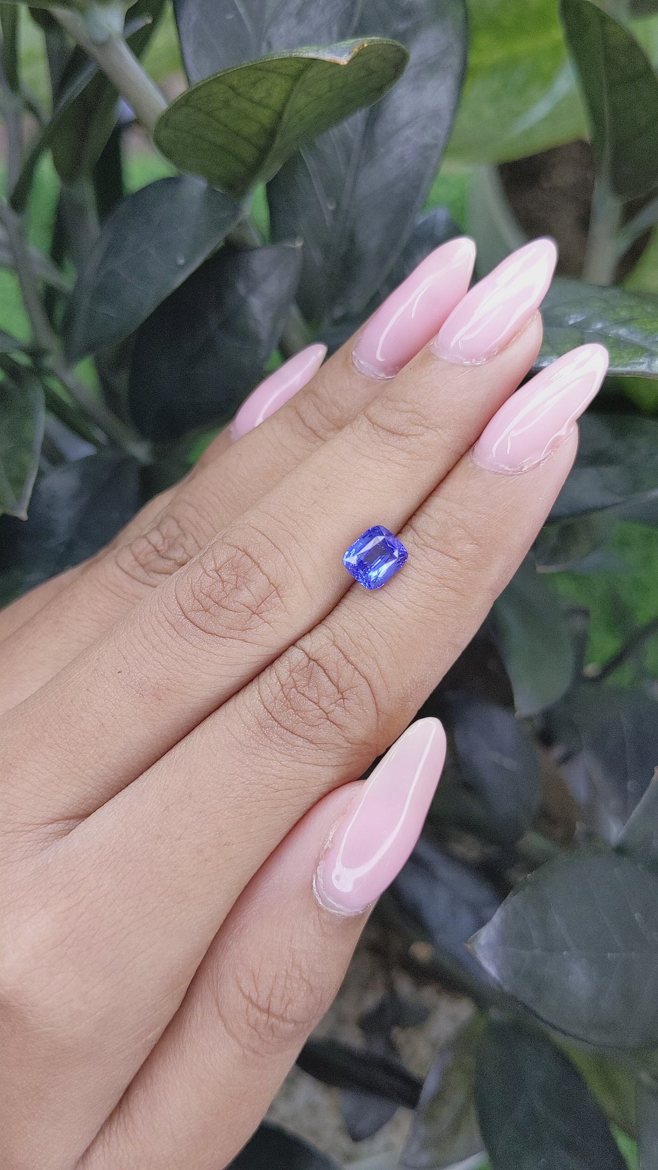 1.62 Ct. Blue Sapphire from Ceylon (Sri Lanka) Size Video