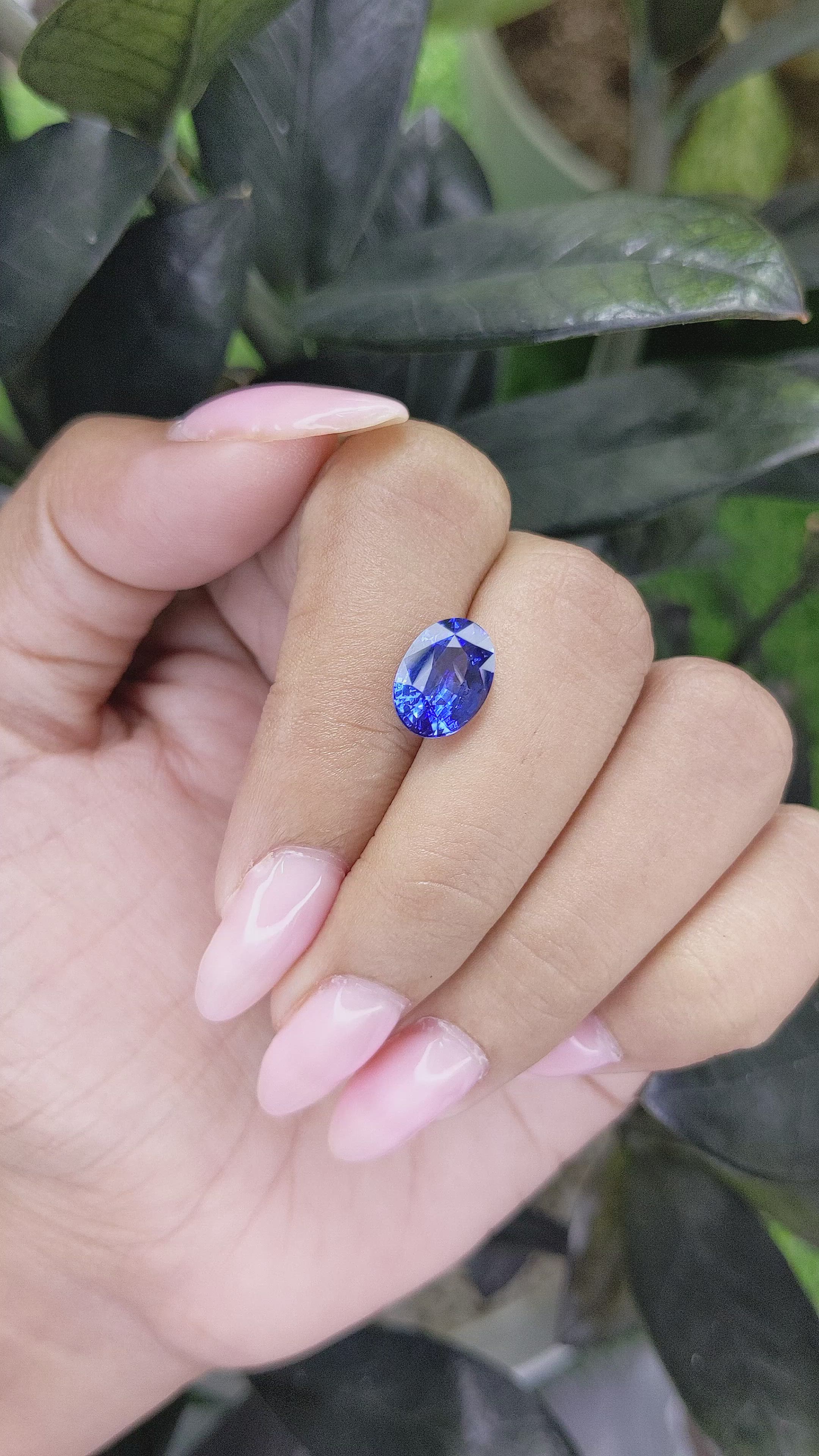 3.52 Ct. Blue Sapphire from Ceylon (Sri Lanka) Size Video