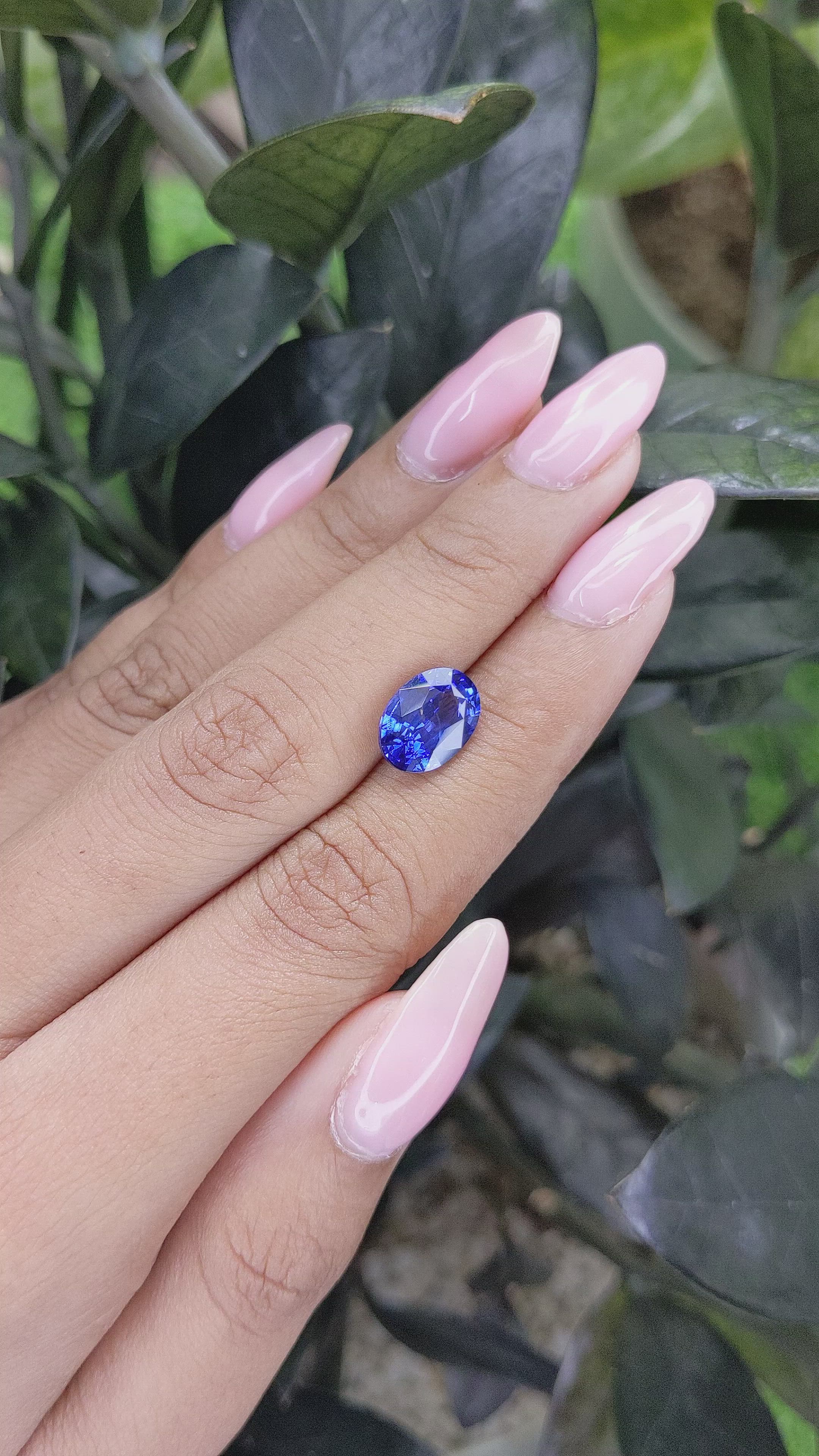 3.52 Ct. Blue Sapphire from Ceylon (Sri Lanka) Size Video