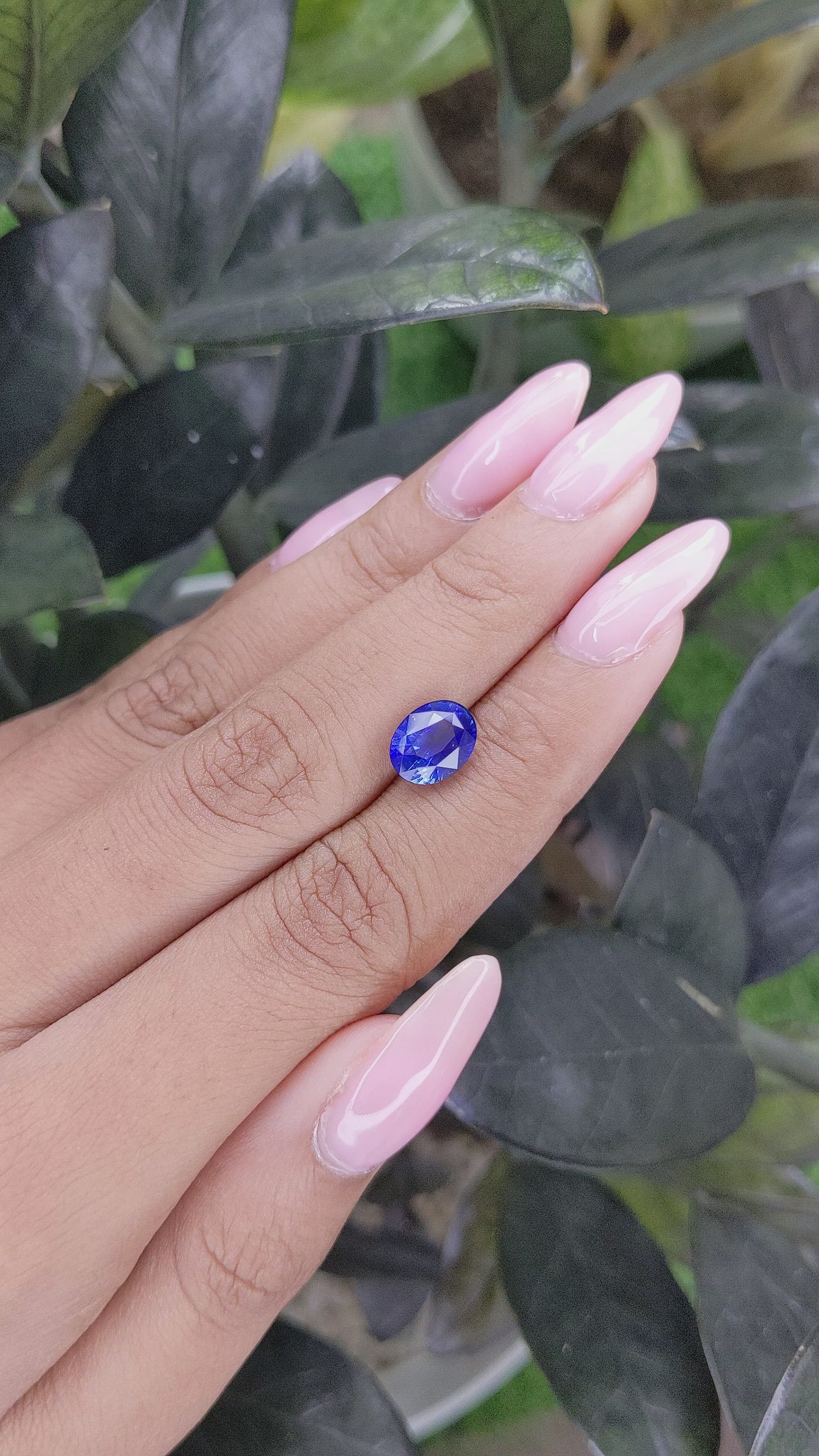 2.56 Ct. Blue Sapphire from Ceylon (Sri Lanka) Size Video
