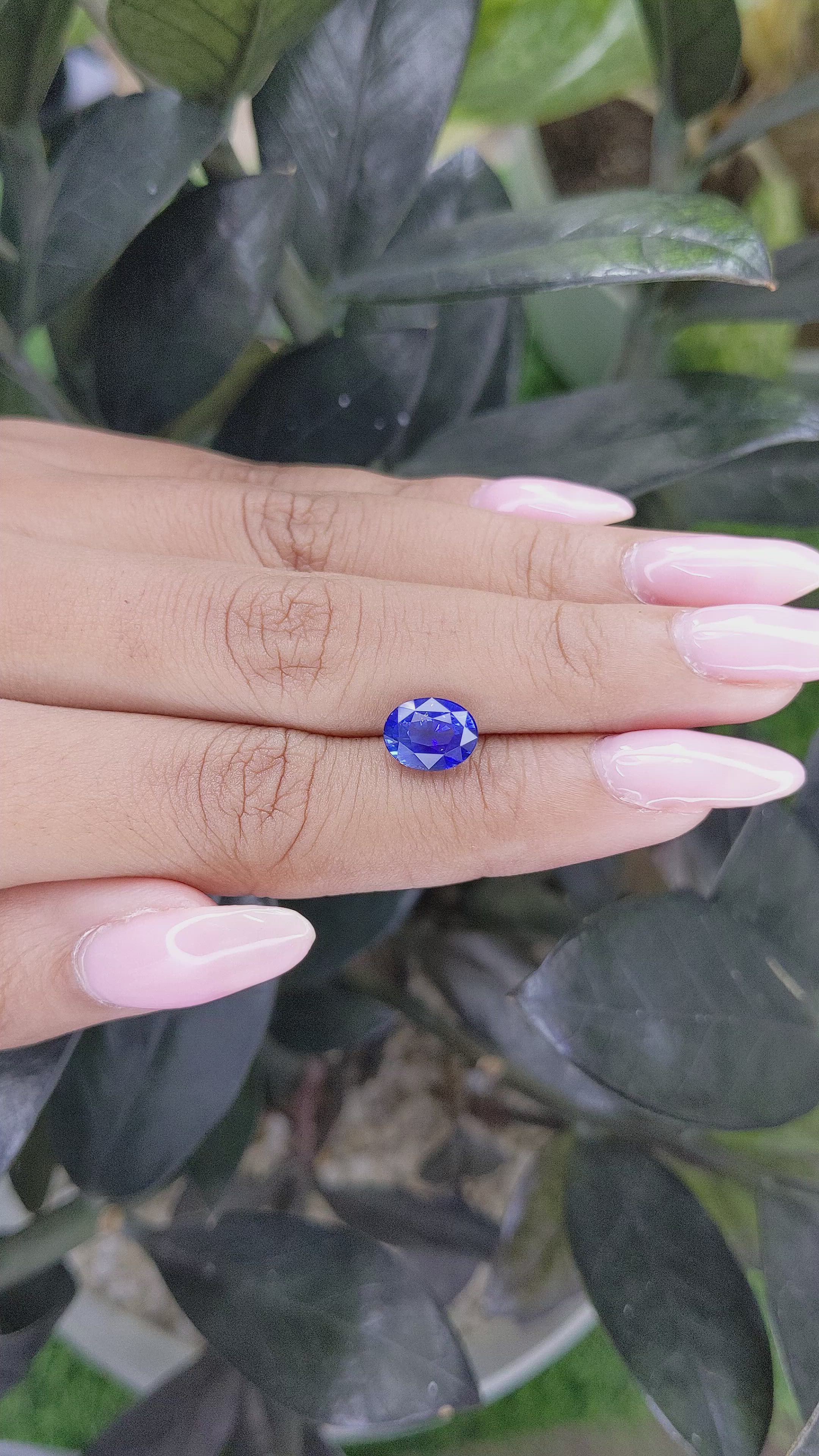 2.56 Ct. Blue Sapphire from Ceylon (Sri Lanka) Size Video