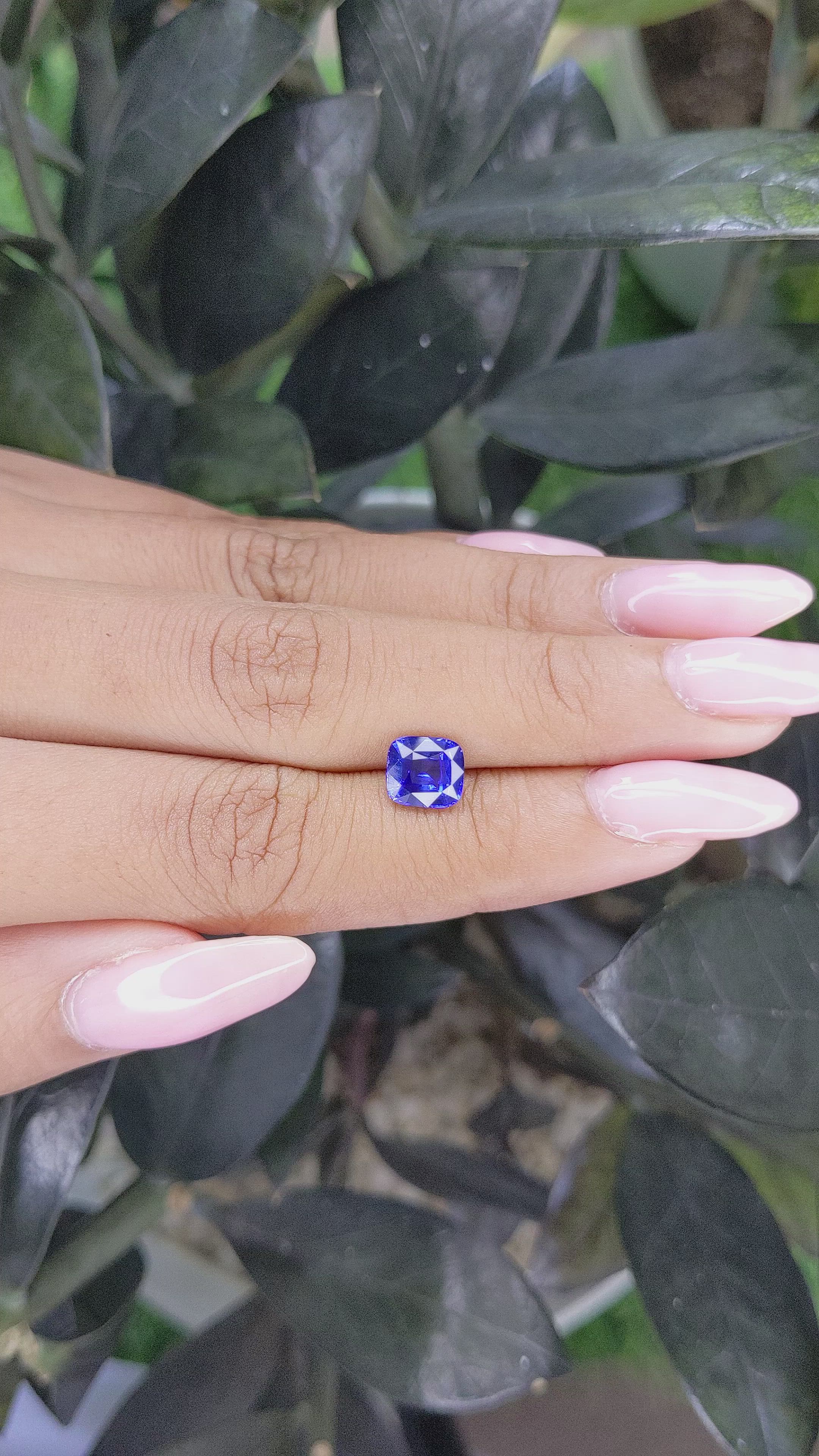 1.80 Ct. Blue Sapphire from Ceylon (Sri Lanka) Size Video