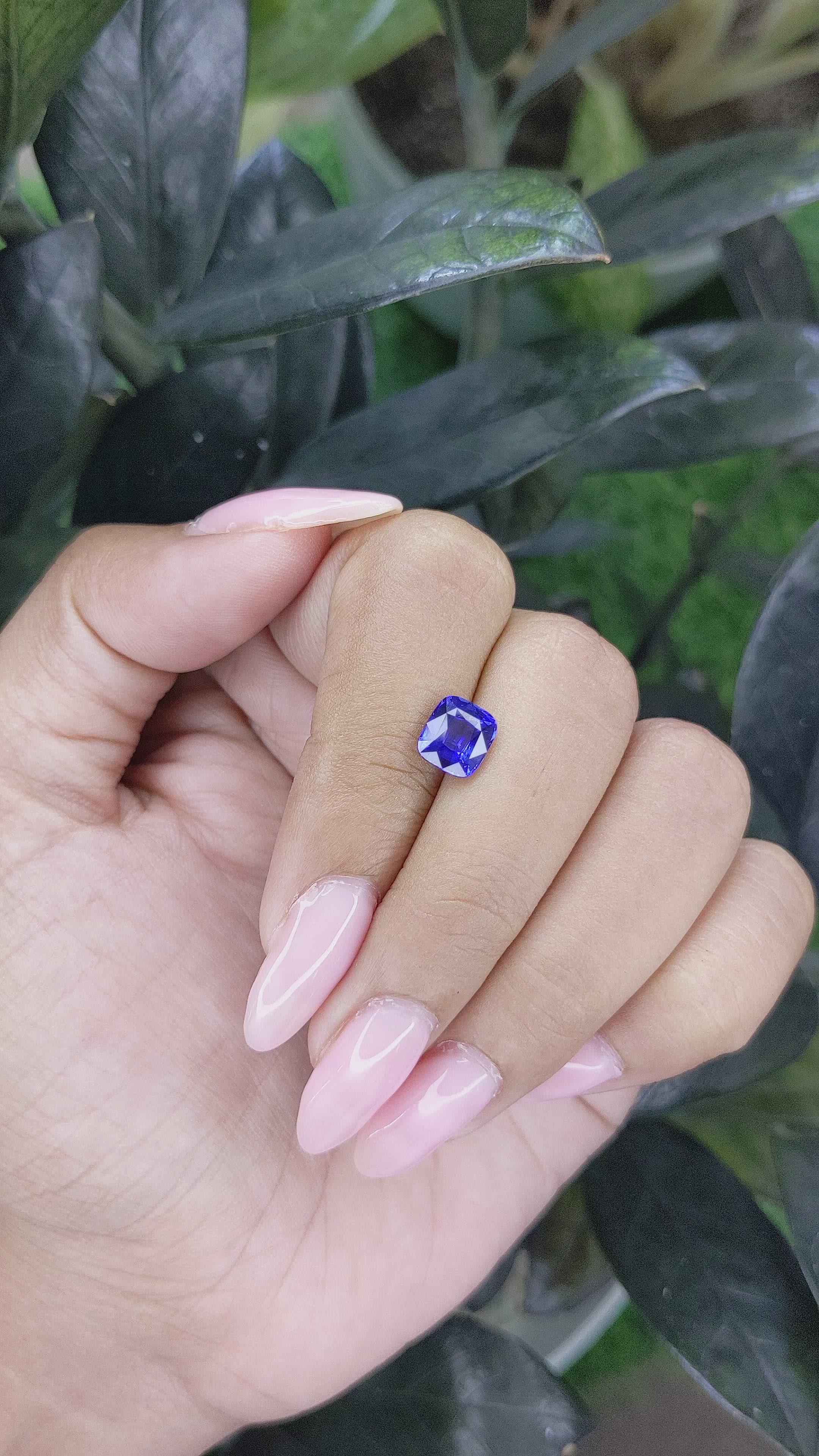 1.80 Ct. Blue Sapphire from Ceylon (Sri Lanka) Size Video