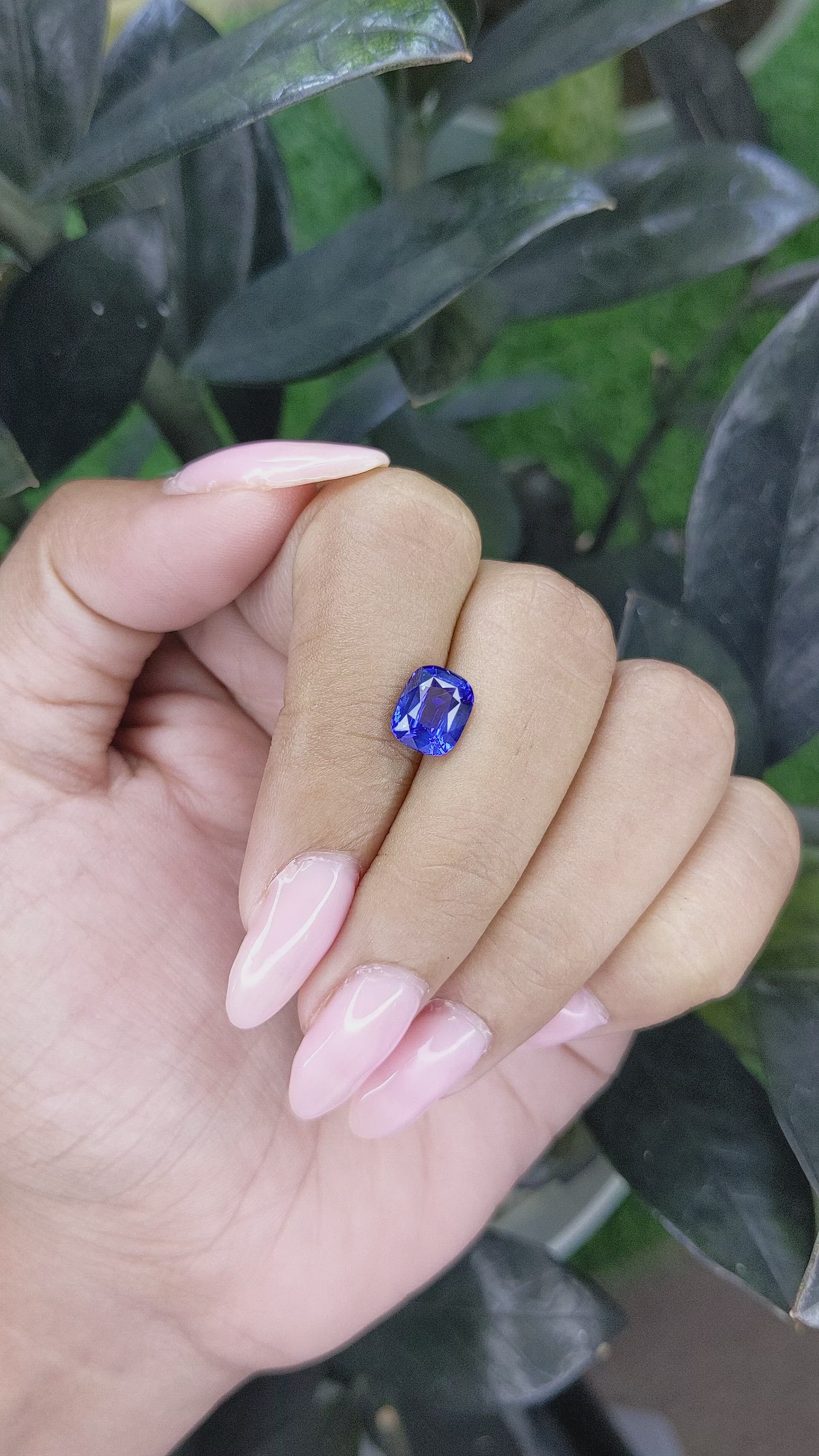 2.20 Ct. Blue Sapphire from Ceylon (Sri Lanka) Size Video