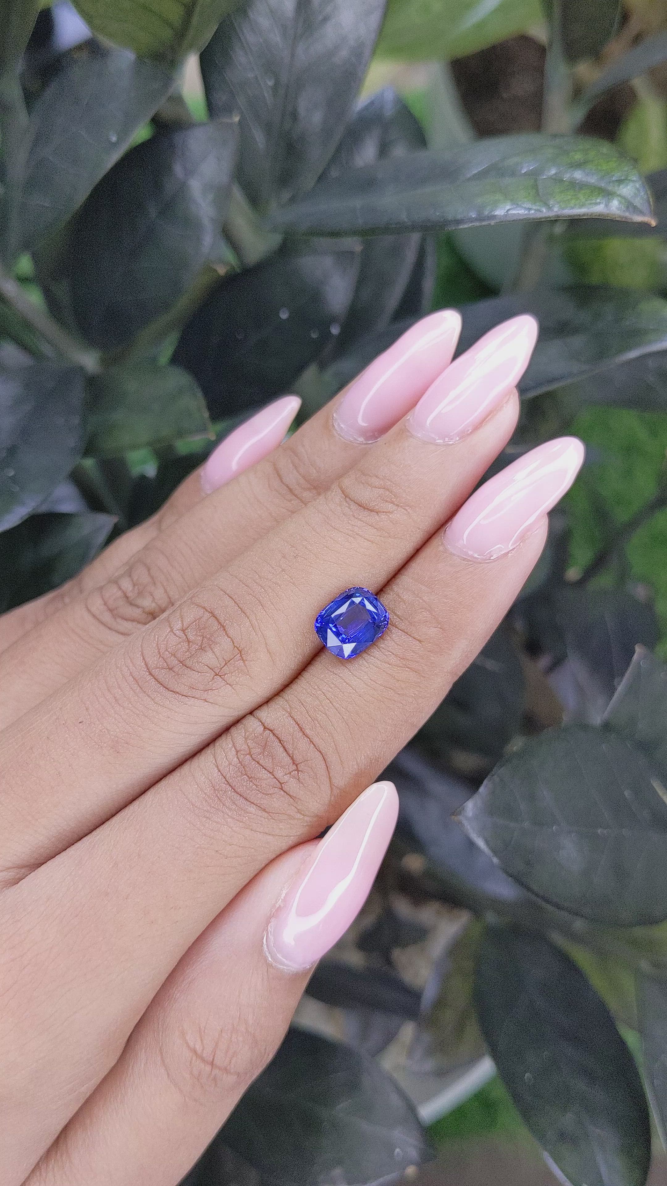 2.20 Ct. Blue Sapphire from Ceylon (Sri Lanka) Size Video