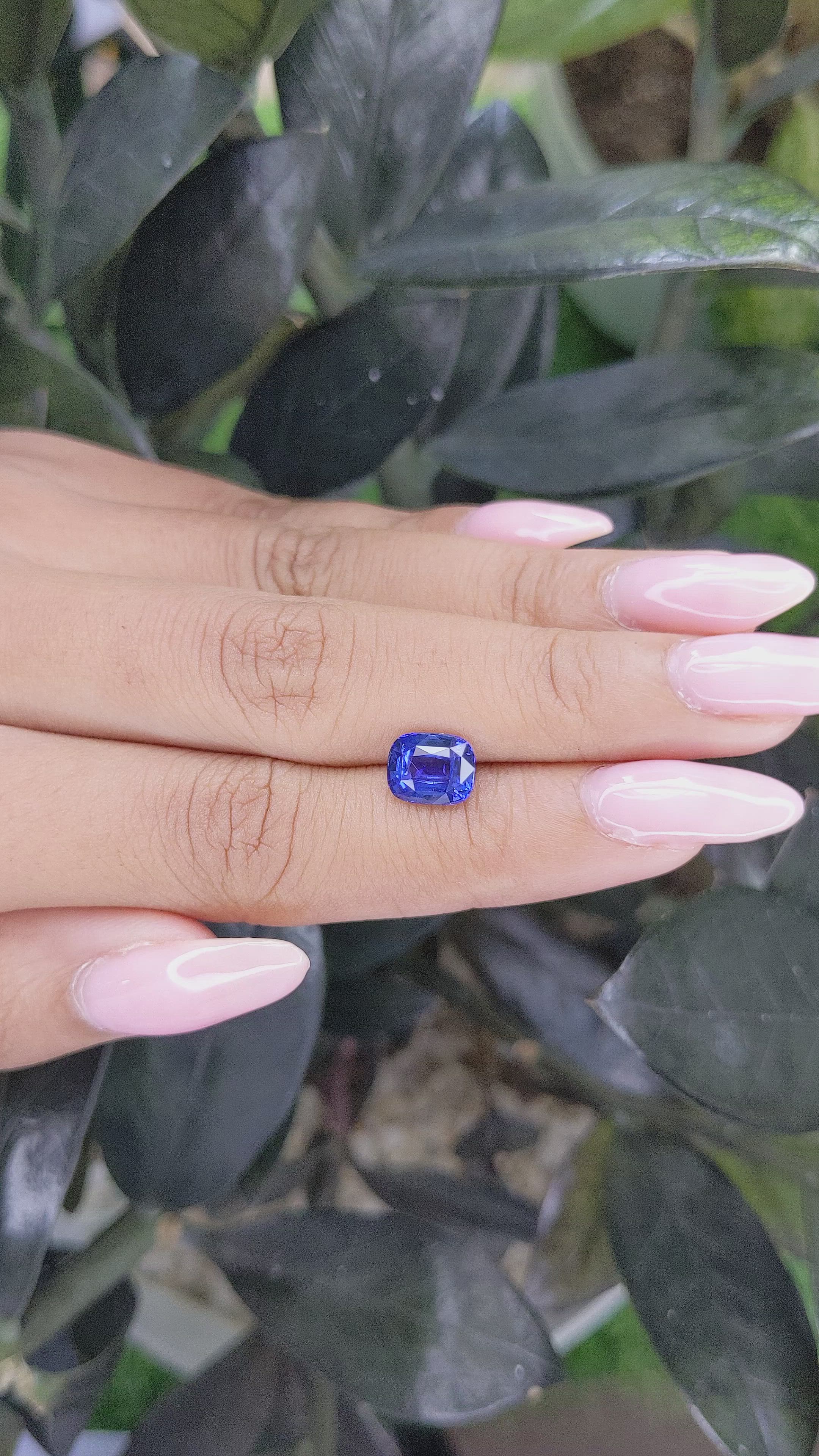 2.20 Ct. Blue Sapphire from Ceylon (Sri Lanka) Size Video