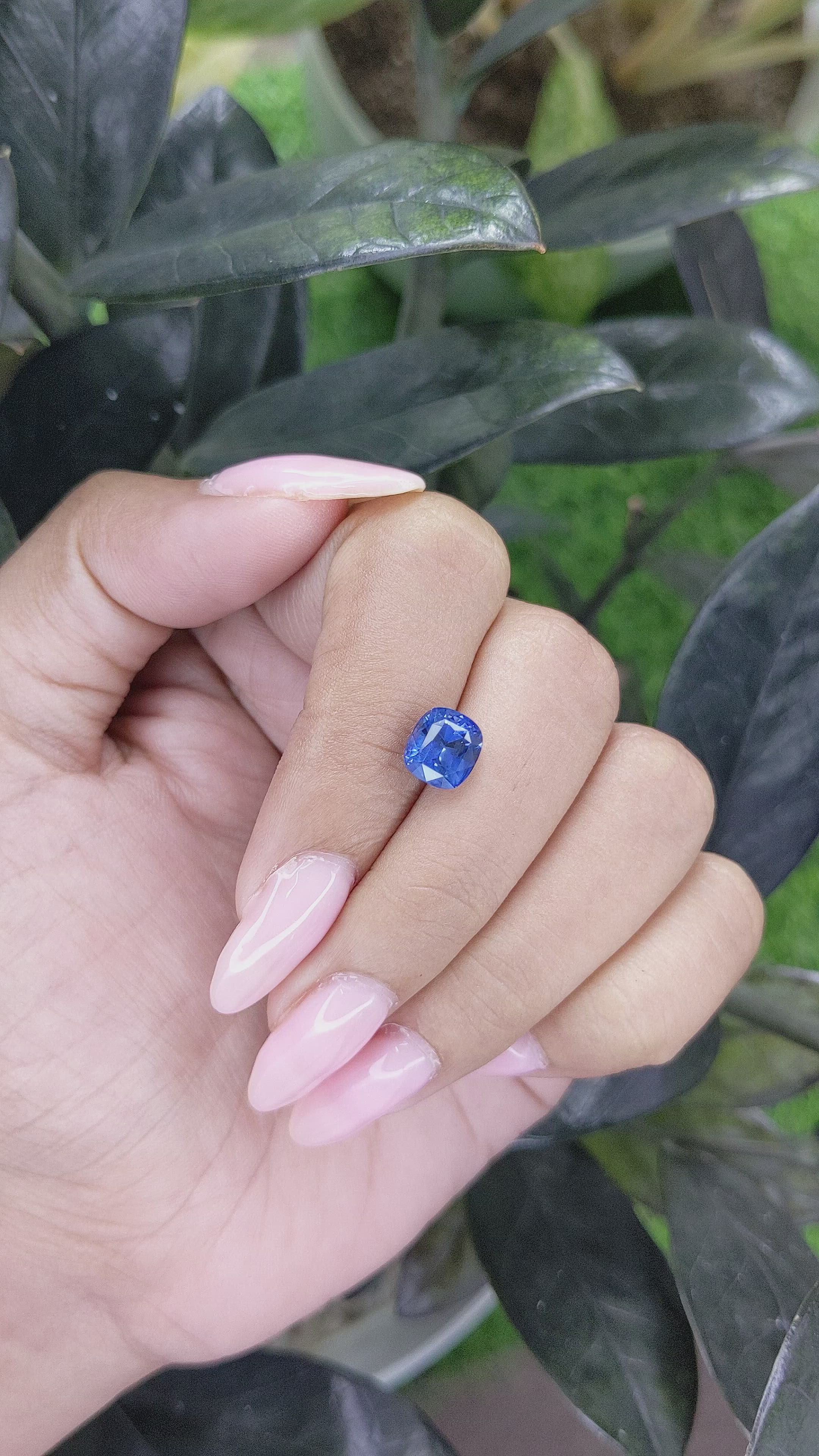 2.71 Ct. Blue Sapphire from Ceylon (Sri Lanka) Size Video