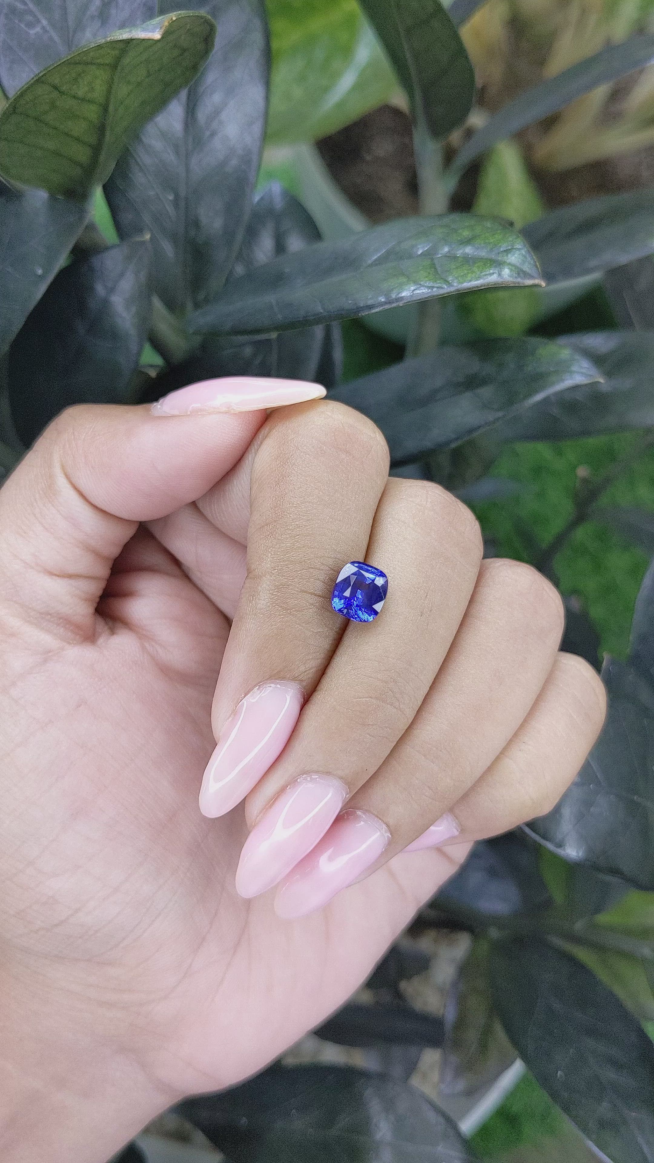 2.03 Ct. Blue Sapphire from Ceylon (Sri Lanka) Size Video