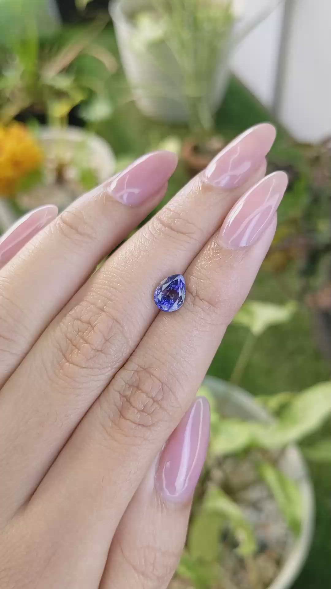1.66 Ct. Blue Sapphire from Ceylon (Sri Lanka) Size Video