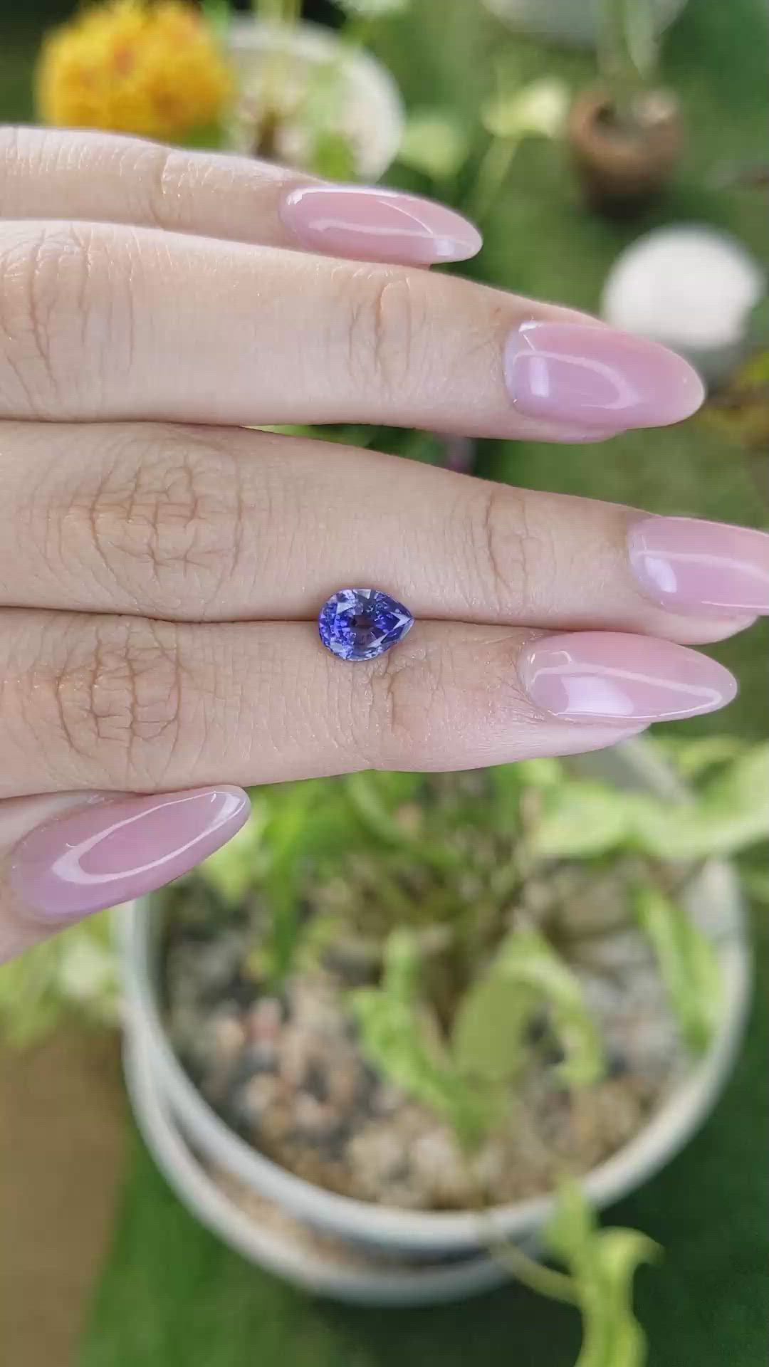 1.66 Ct. Blue Sapphire from Ceylon (Sri Lanka) Size Video