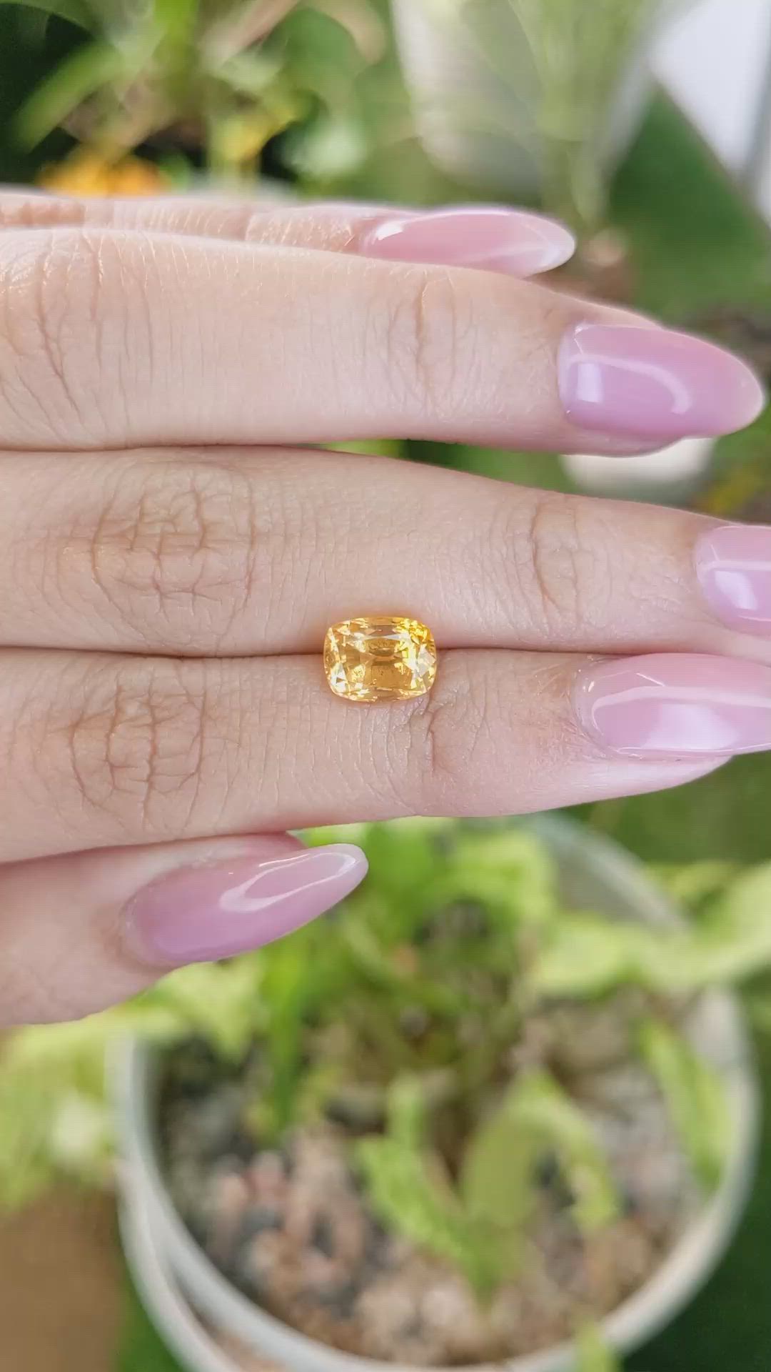 3.09 Ct. Yellowish Orange Sapphire from Ceylon (Sri Lanka) Size Video