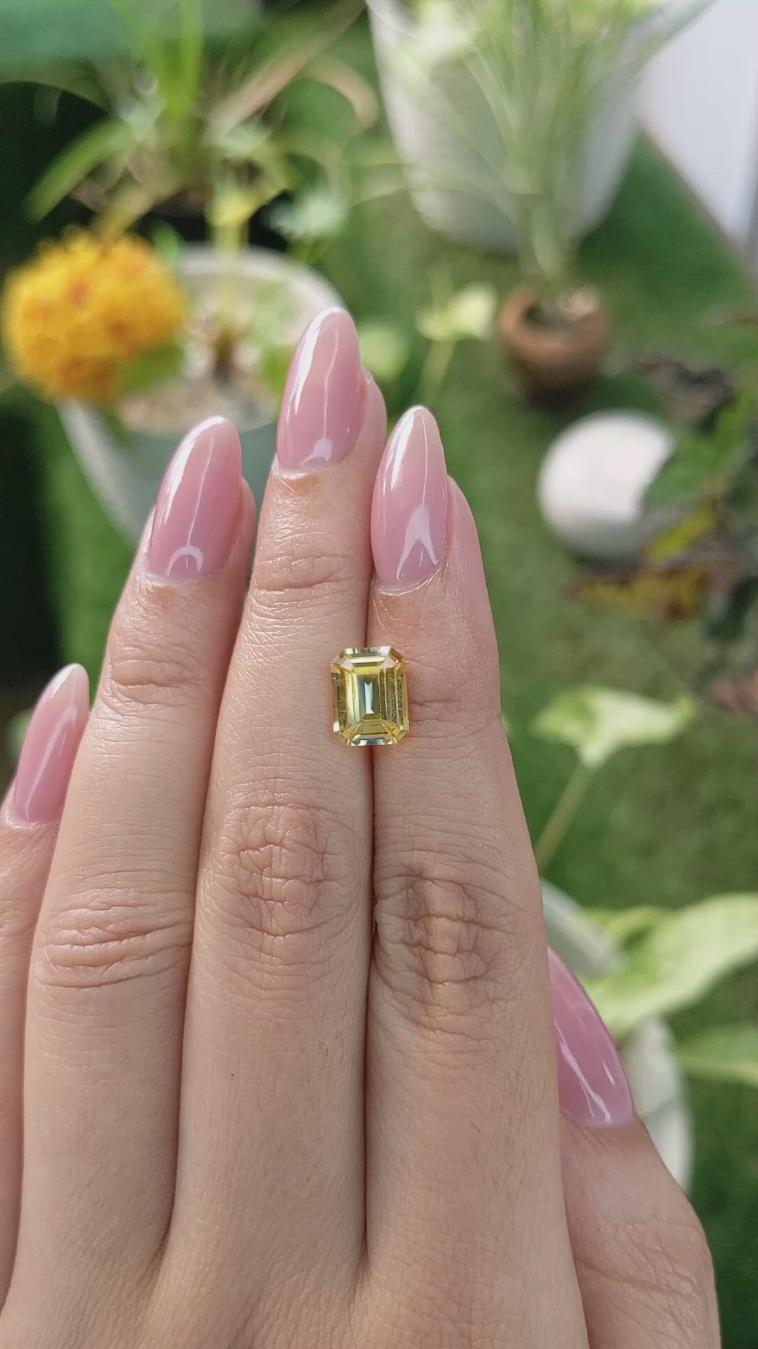 2.74 Ct. Bi Color Sapphire from Ceylon (Sri Lanka) Size Video