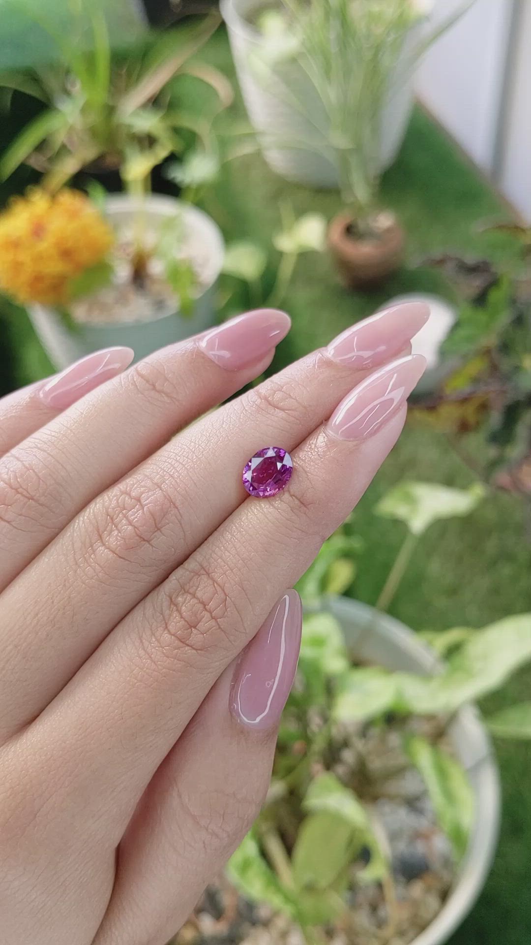 2.05 Ct. Pinkish Purple Sapphire from Ceylon (Sri Lanka) Size Video