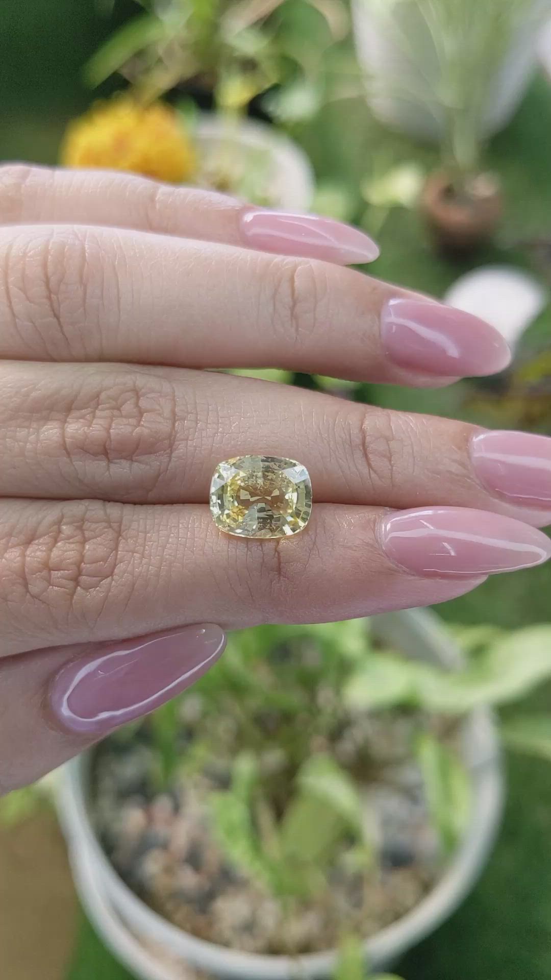 5.07 Ct. Yellow Sapphire from Ceylon (Sri Lanka) Size Video