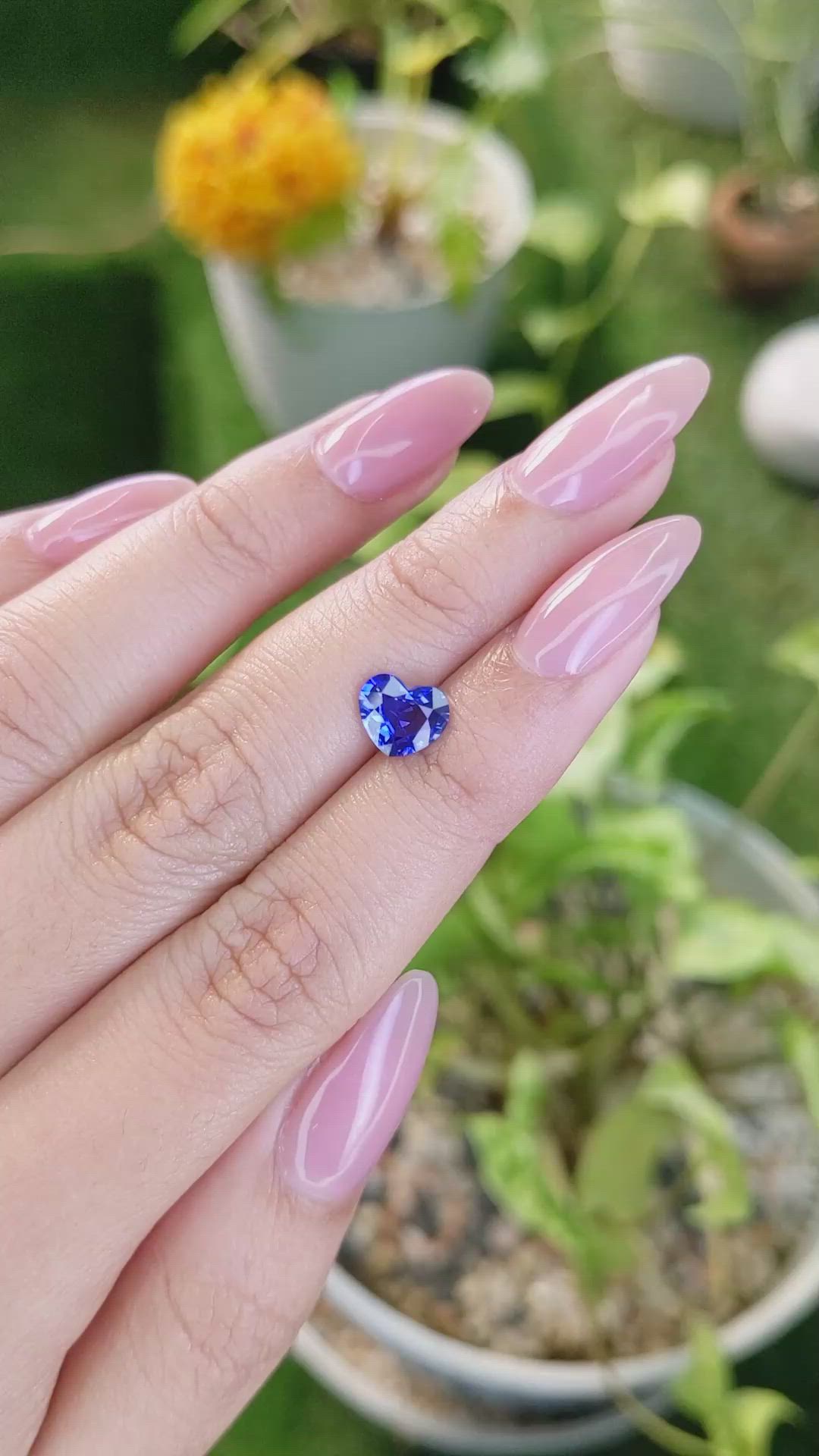 1.43 Ct. Blue Sapphire from Ceylon (Sri Lanka) Size Video