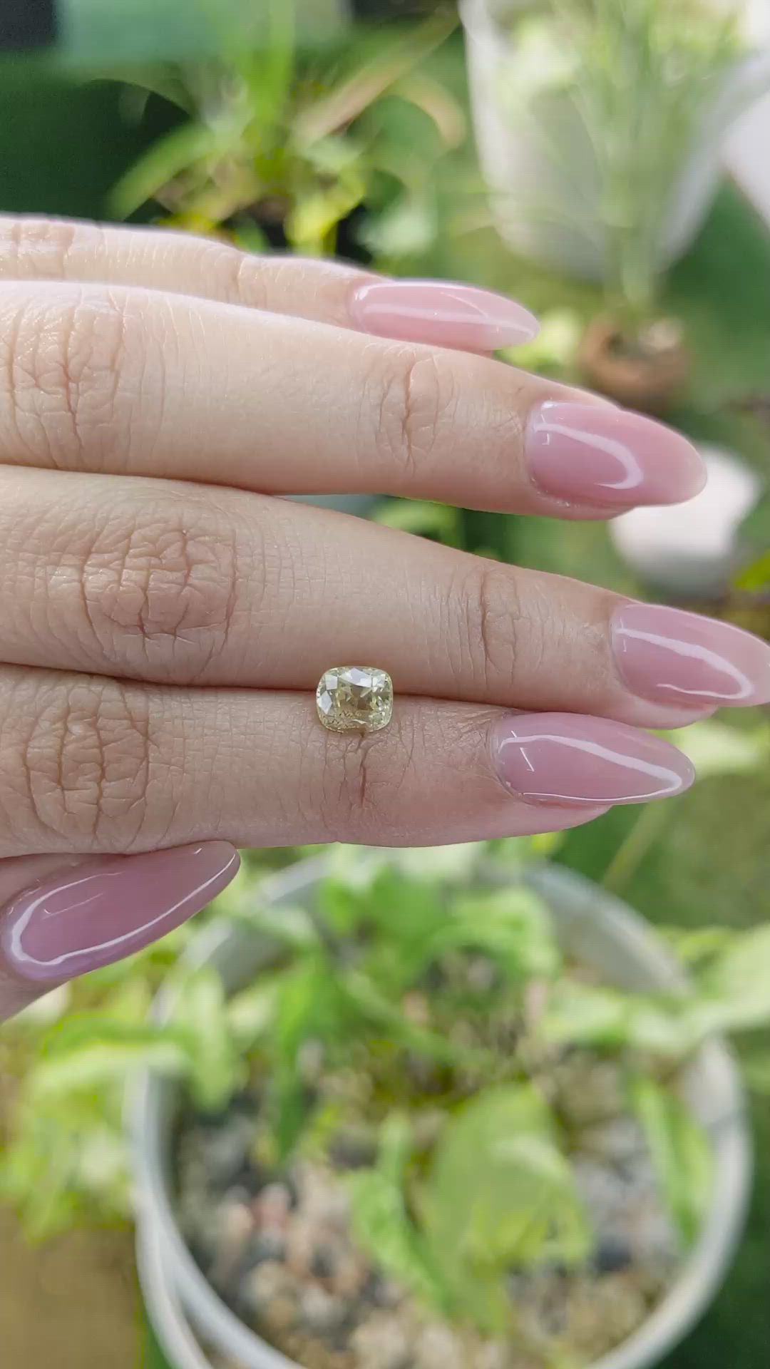 1.37 Ct. Yellow Sapphire from Ceylon (Sri Lanka) Size Video