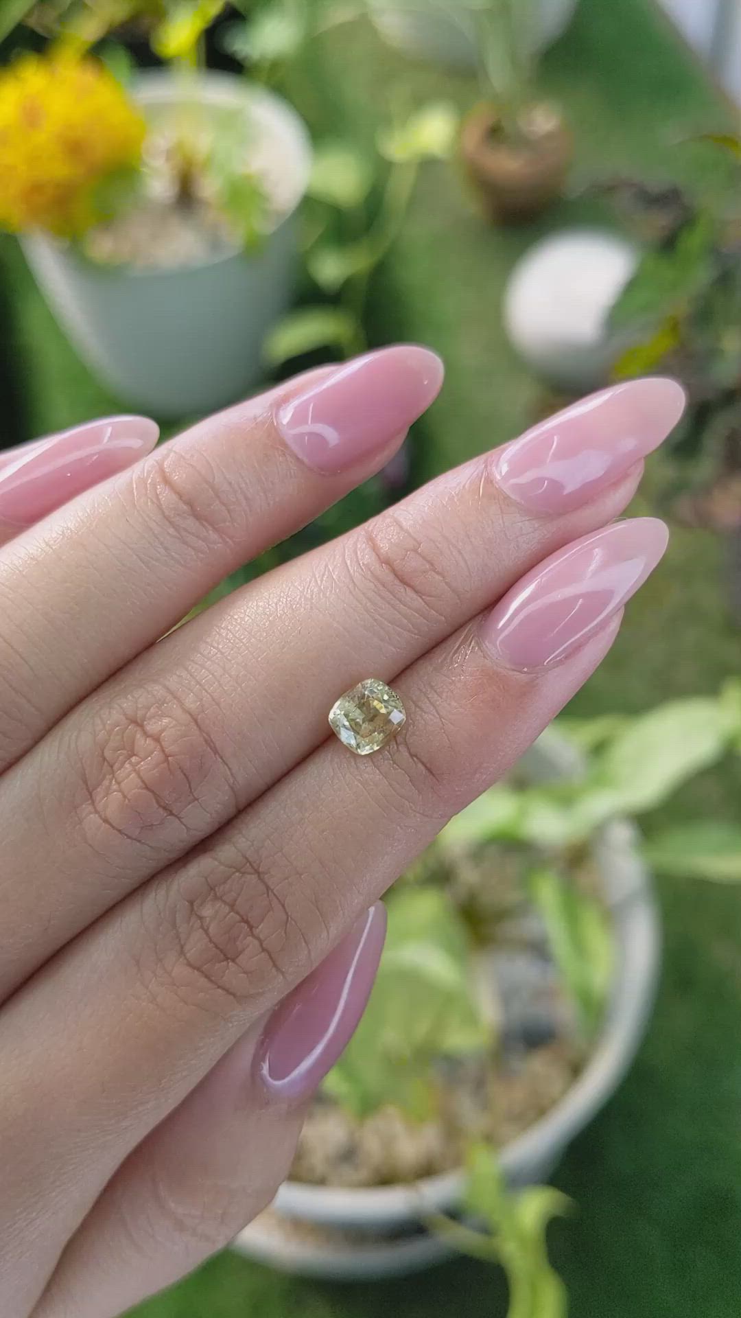 1.37 Ct. Yellow Sapphire from Ceylon (Sri Lanka) Size Video