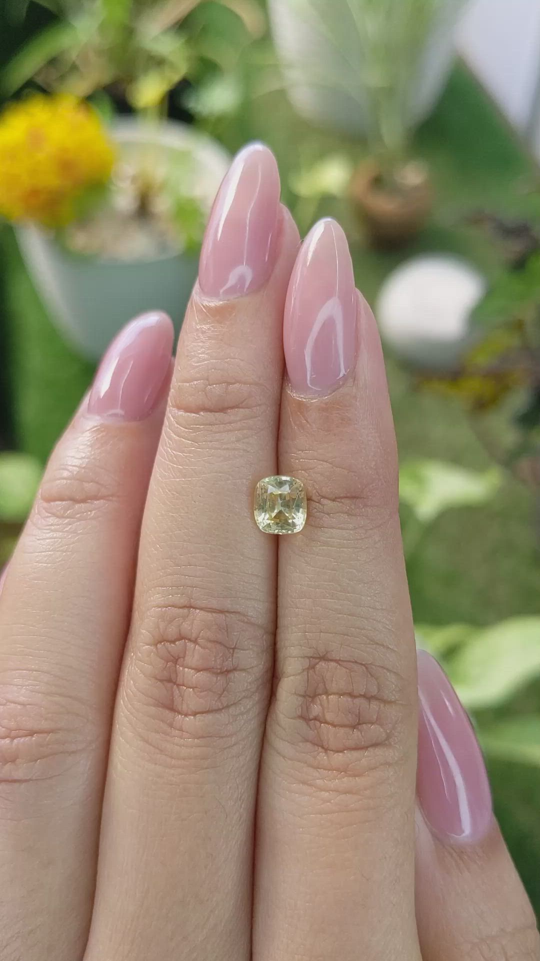 1.37 Ct. Yellow Sapphire from Ceylon (Sri Lanka) Size Video