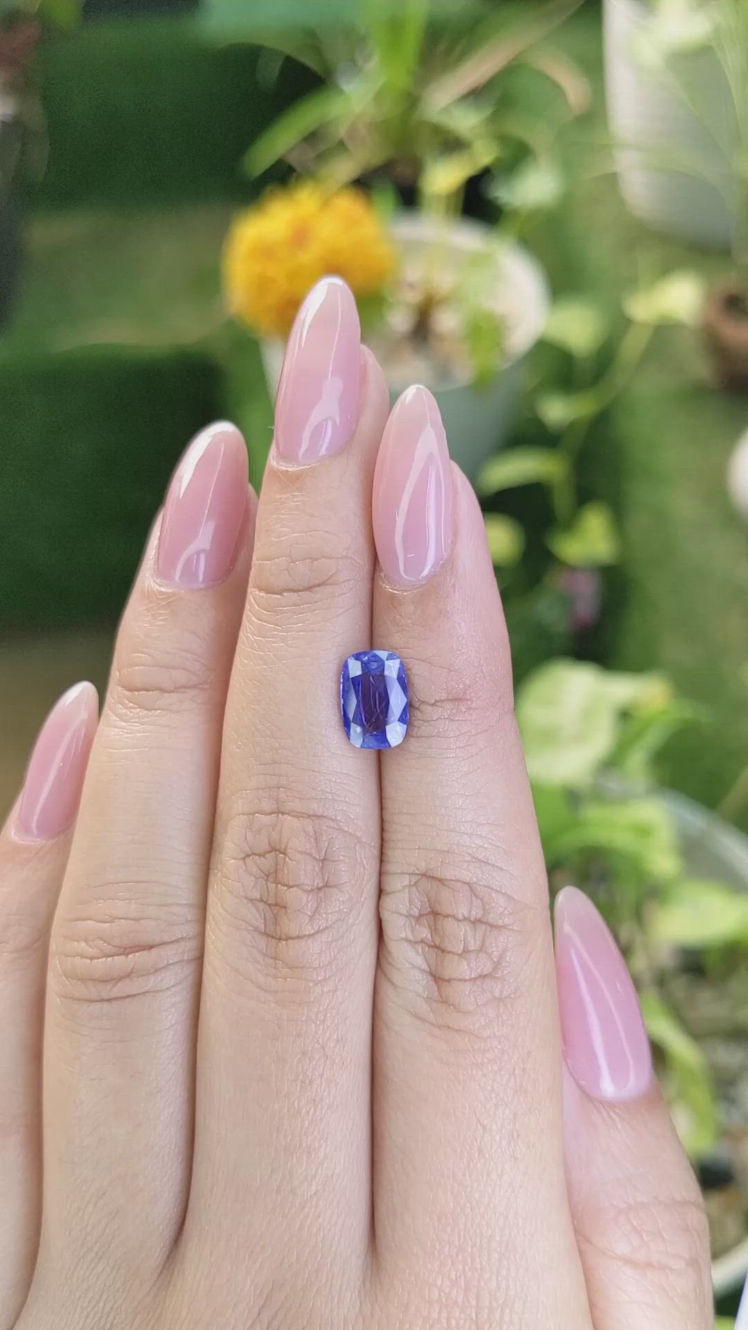 2.55 Ct. Blue Sapphire from Ceylon (Sri Lanka) Size Video