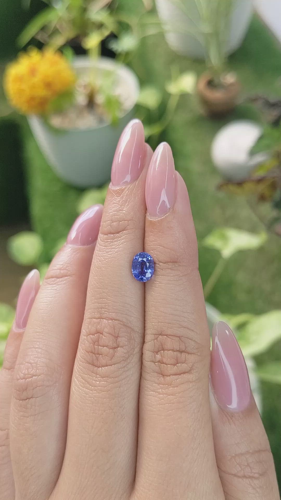 1.42 Ct. Blue Sapphire from Ceylon (Sri Lanka) Size Video