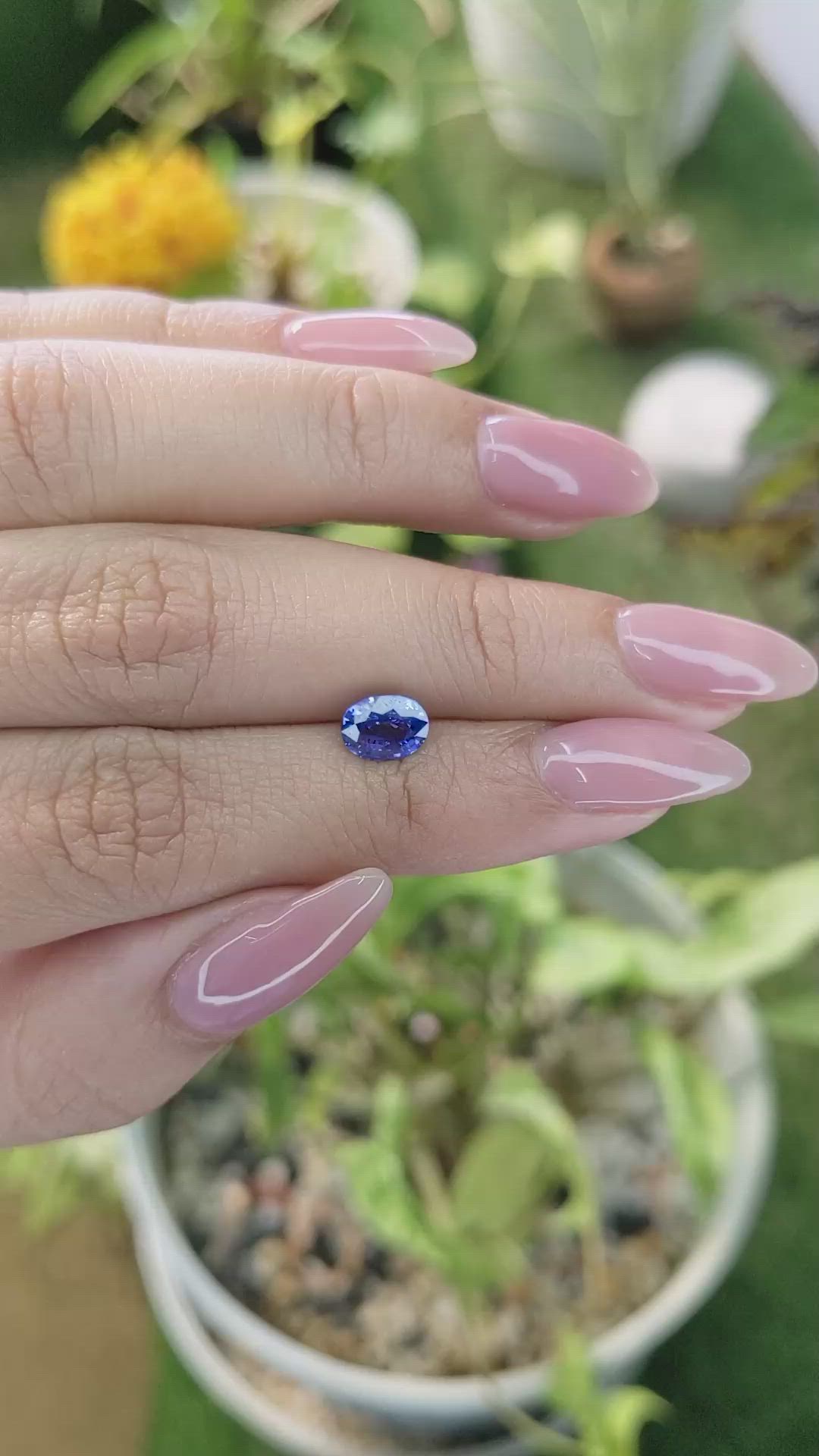 1.42 Ct. Blue Sapphire from Ceylon (Sri Lanka) Size Video