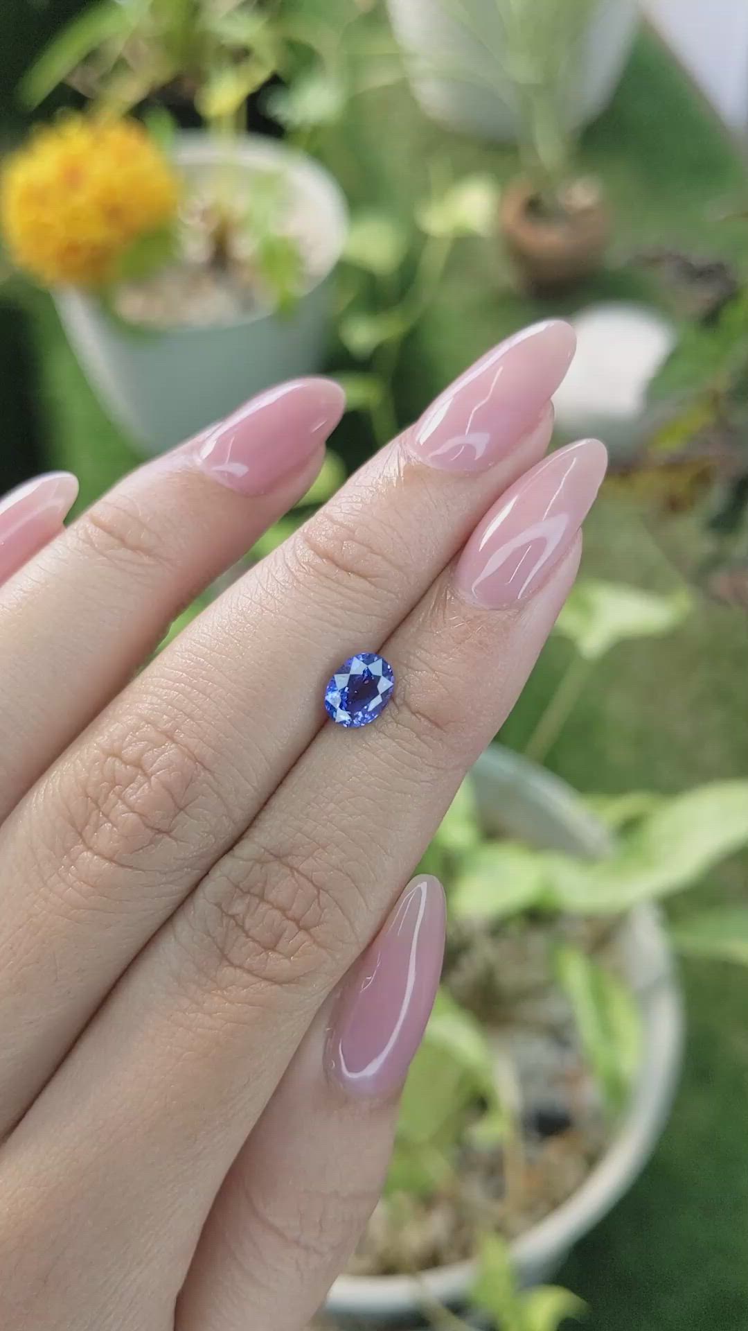 1.42 Ct. Blue Sapphire from Ceylon (Sri Lanka) Size Video