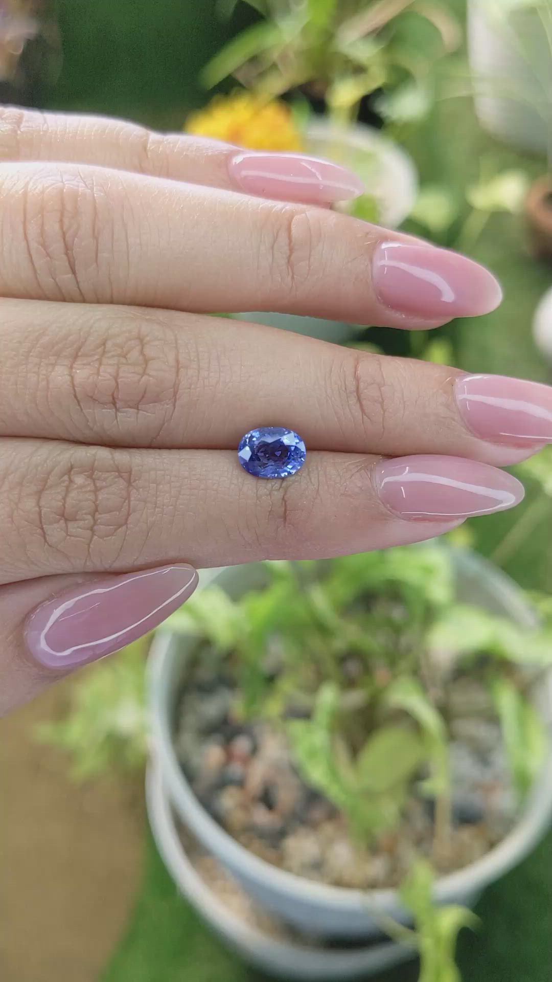1.83 Ct. Blue Sapphire from Ceylon (Sri Lanka) Size Video