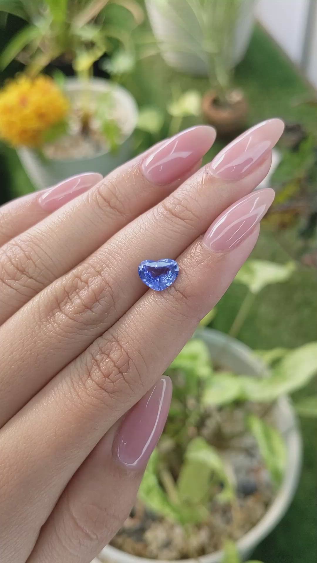 1.95 Ct. Blue Sapphire from Ceylon (Sri Lanka) Size Video