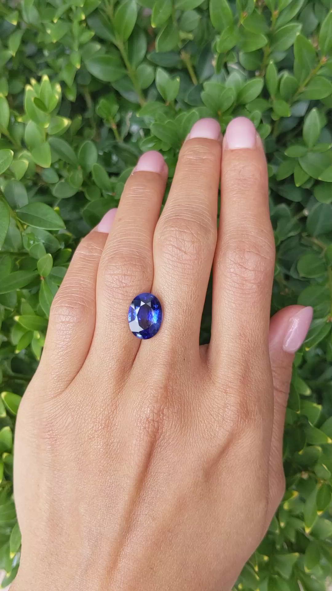 5.67 Ct. Blue Sapphire from Ceylon (Sri Lanka) Size Video