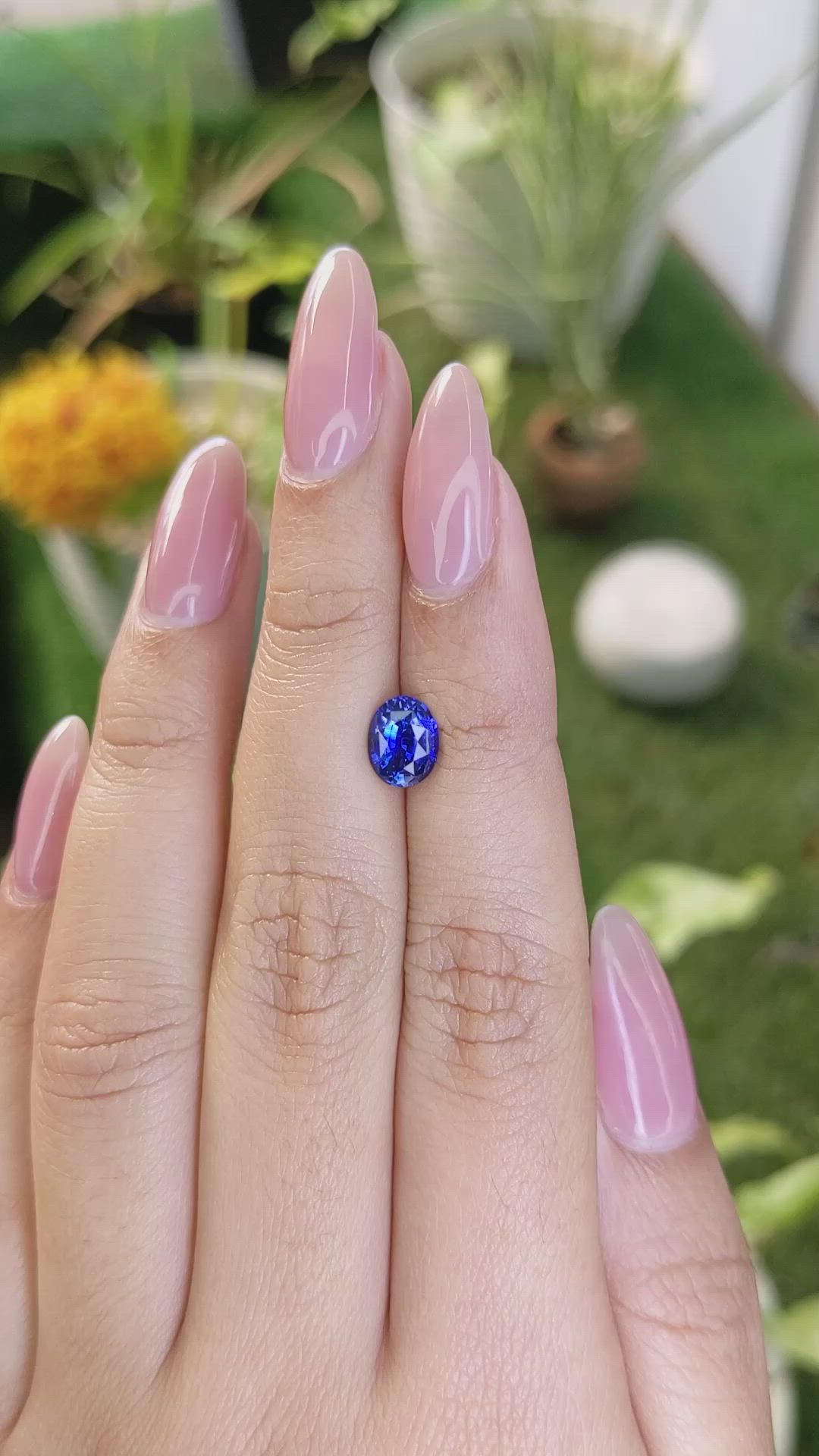 1.32 Ct. Blue Sapphire from Ceylon (Sri Lanka) Size Video