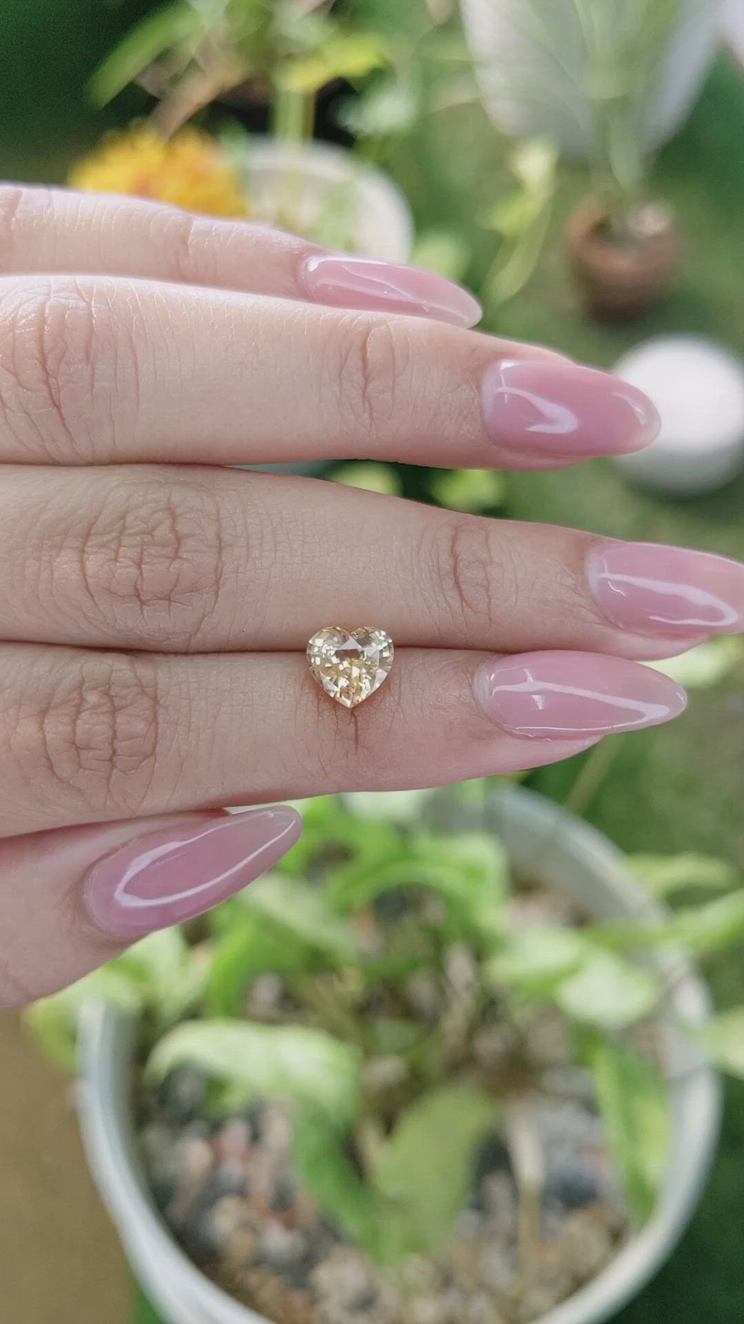 1.69 Ct. Peach Sapphire from Ceylon (Sri Lanka) Size Video