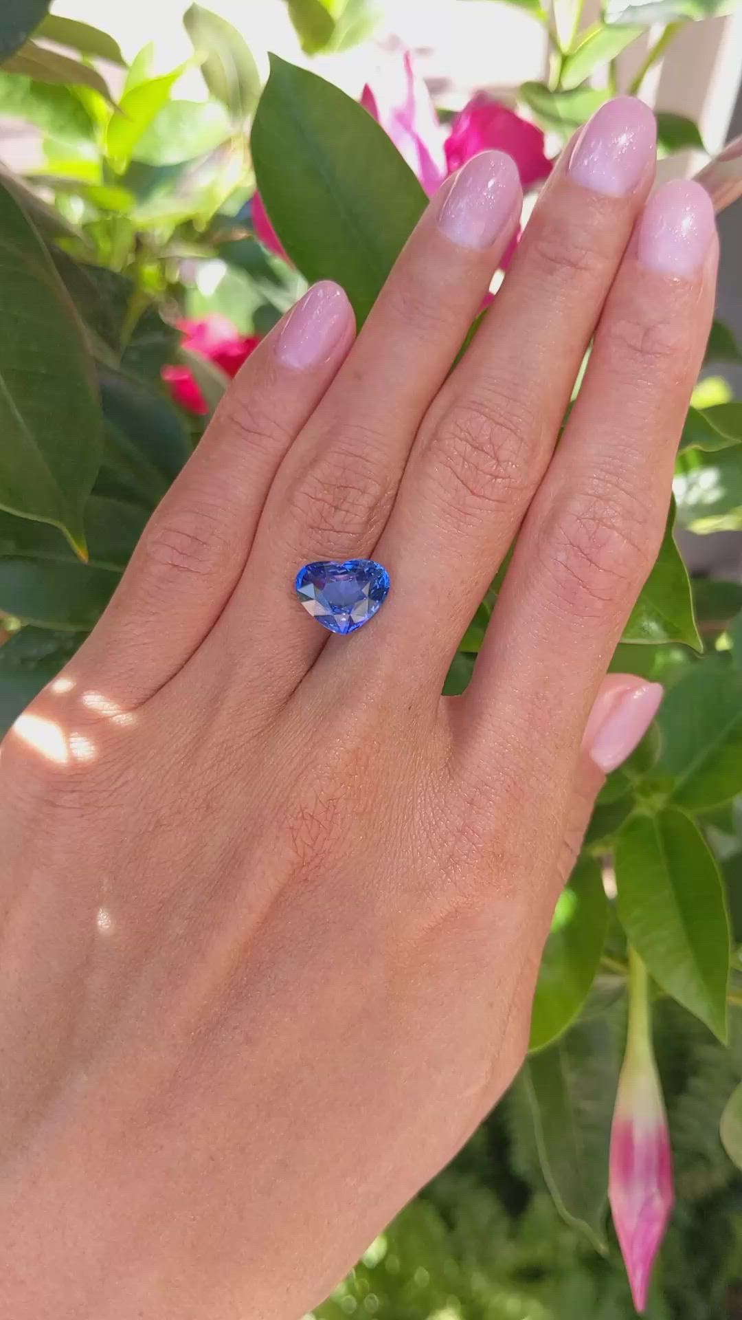 5.20 Ct. Blue Sapphire from Ceylon (Sri Lanka) Size Video