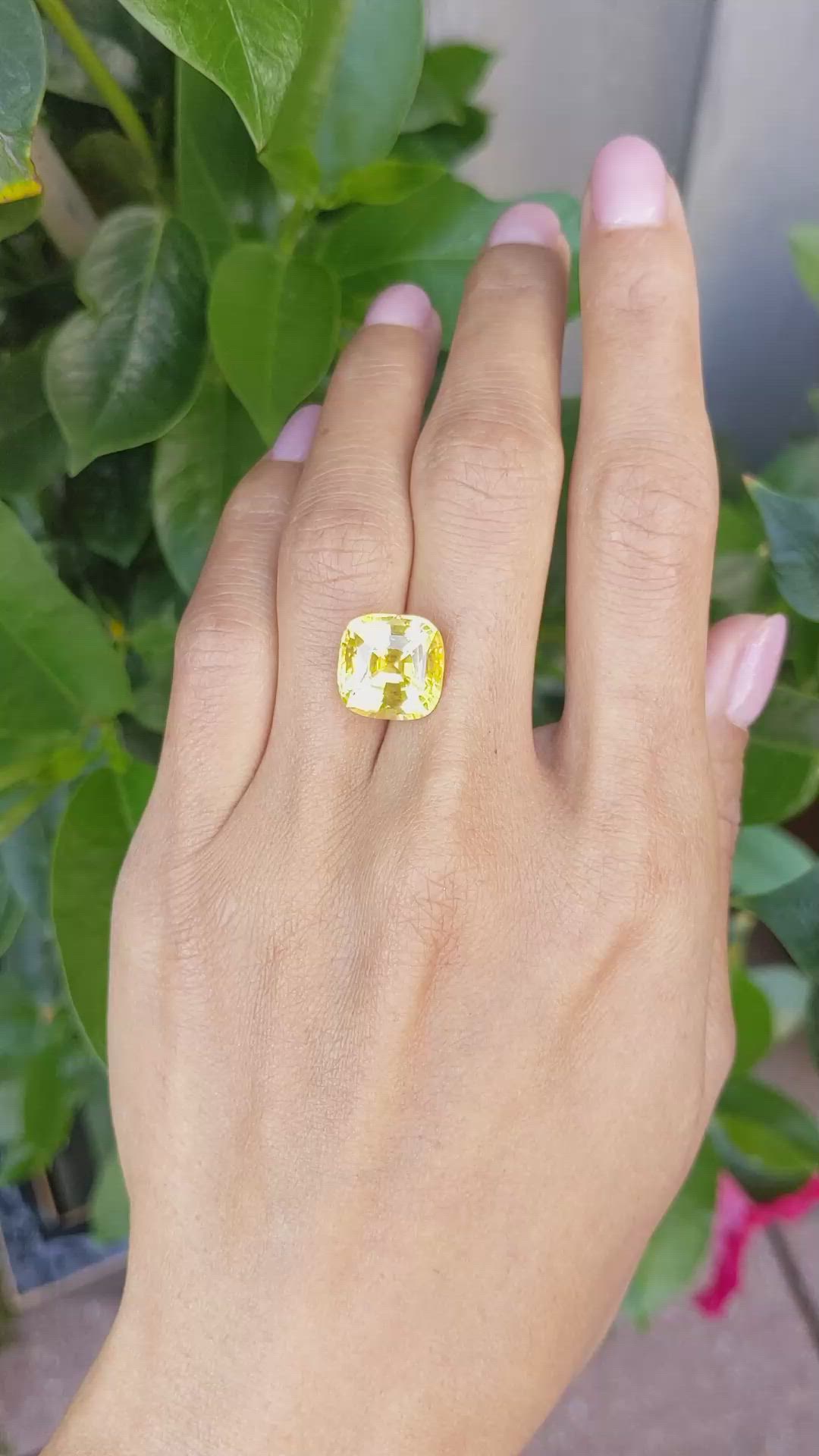 10.63 Ct. Yellow Sapphire from Ceylon (Sri Lanka) Size Video