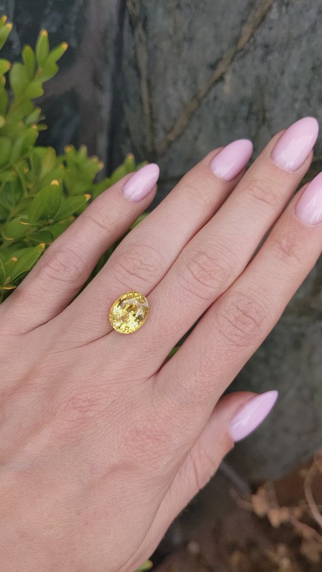 6.18 Ct. Yellow Sapphire from Ceylon (Sri Lanka) Size Video